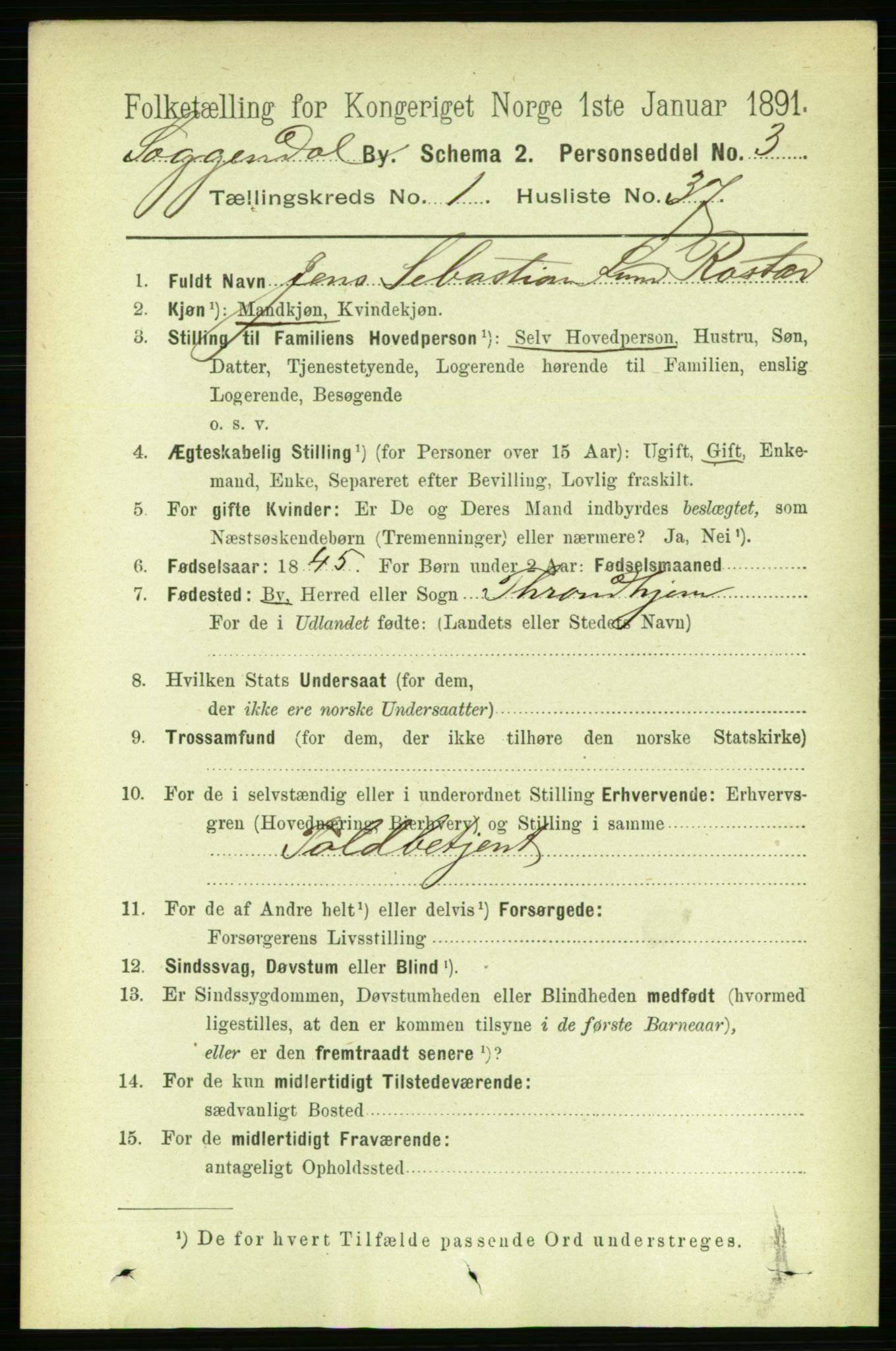 RA, 1891 census for 1107 Sokndal, 1891, p. 211