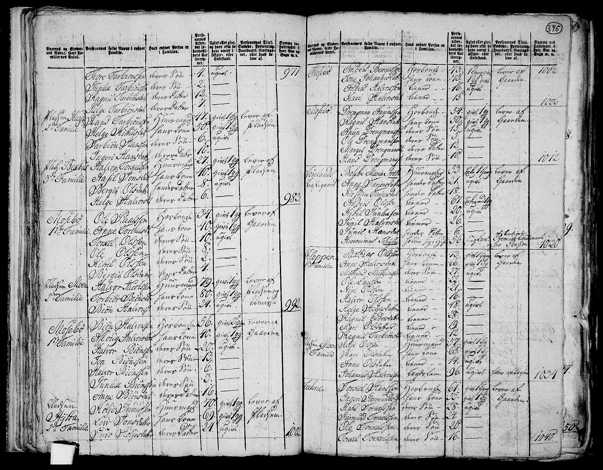 RA, 1801 census for 0827P Hjartdal, 1801, p. 374b-375a