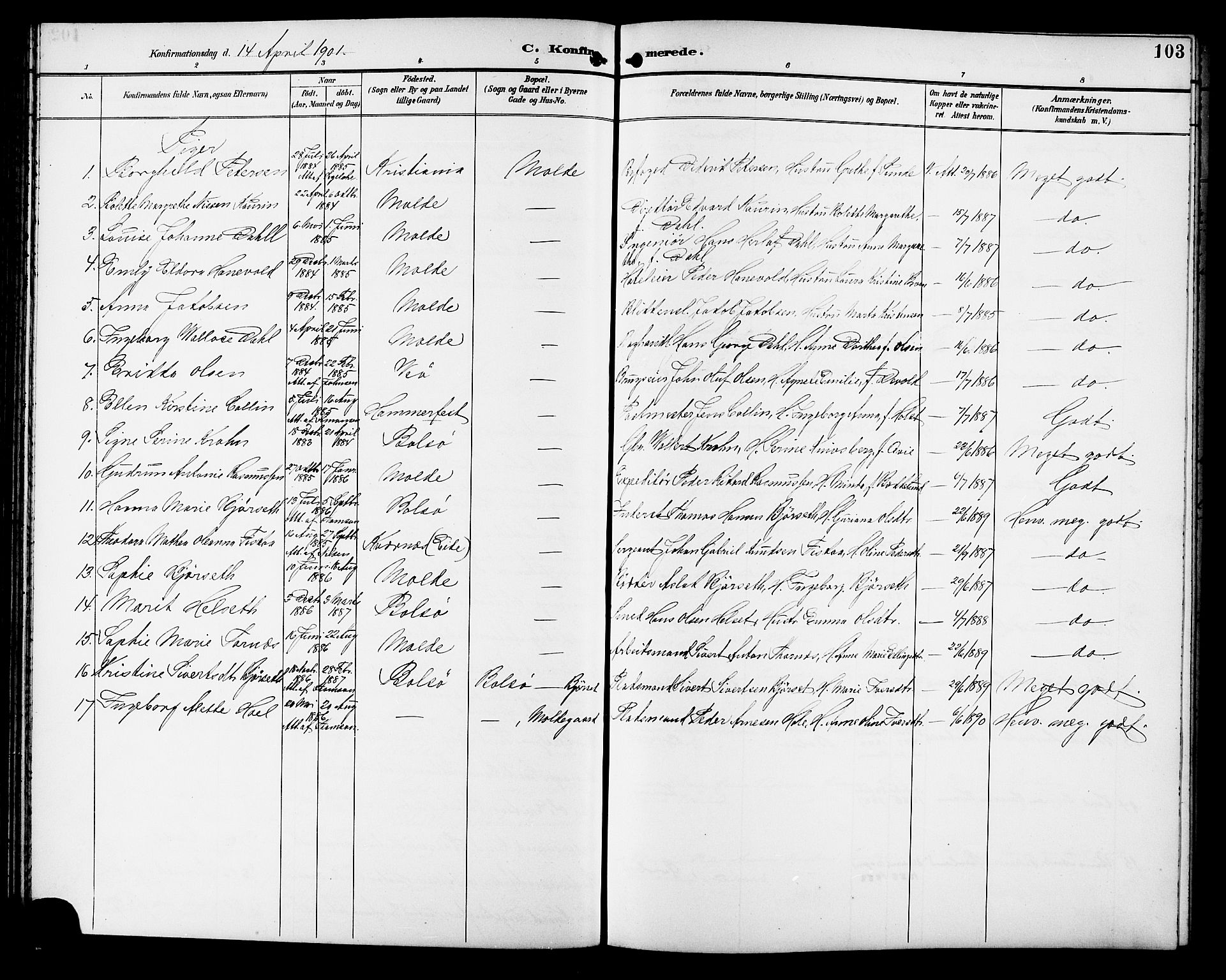 Ministerialprotokoller, klokkerbøker og fødselsregistre - Møre og Romsdal, AV/SAT-A-1454/558/L0702: Parish register (copy) no. 558C03, 1894-1915, p. 103