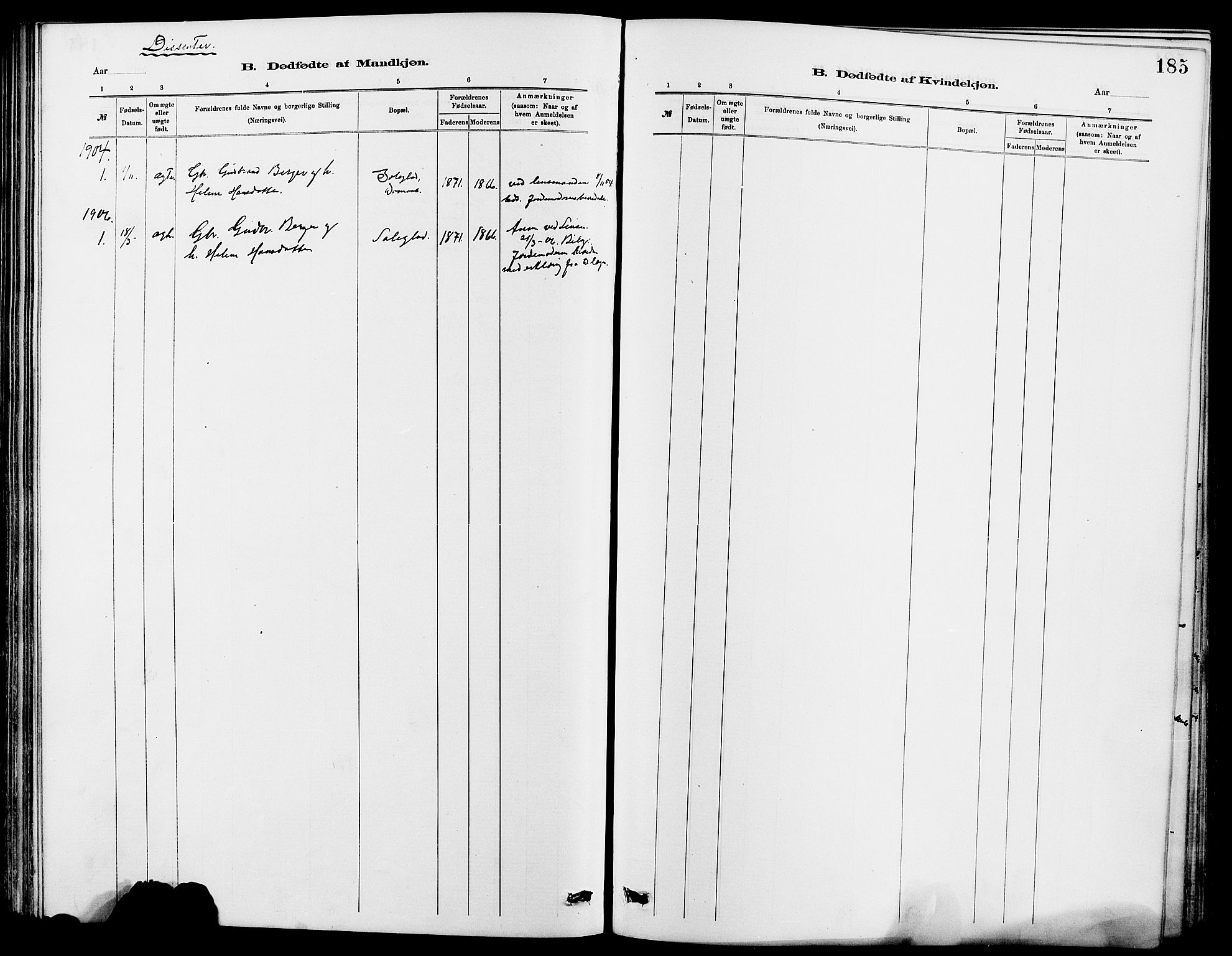 Dovre prestekontor, SAH/PREST-066/H/Ha/Hab/L0002: Parish register (copy) no. 2, 1881-1907, p. 185