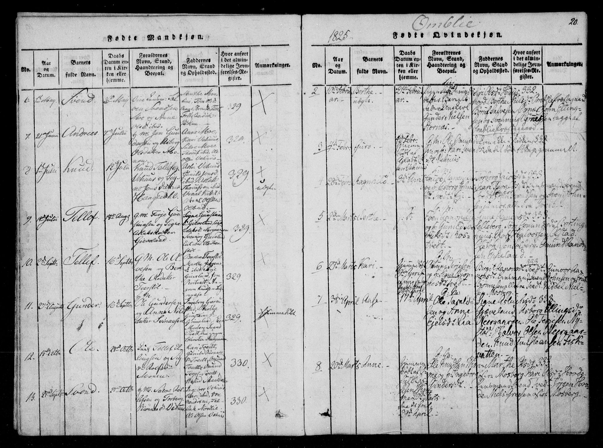 Åmli sokneprestkontor, SAK/1111-0050/F/Fa/Fac/L0006: Parish register (official) no. A 6, 1816-1829, p. 20