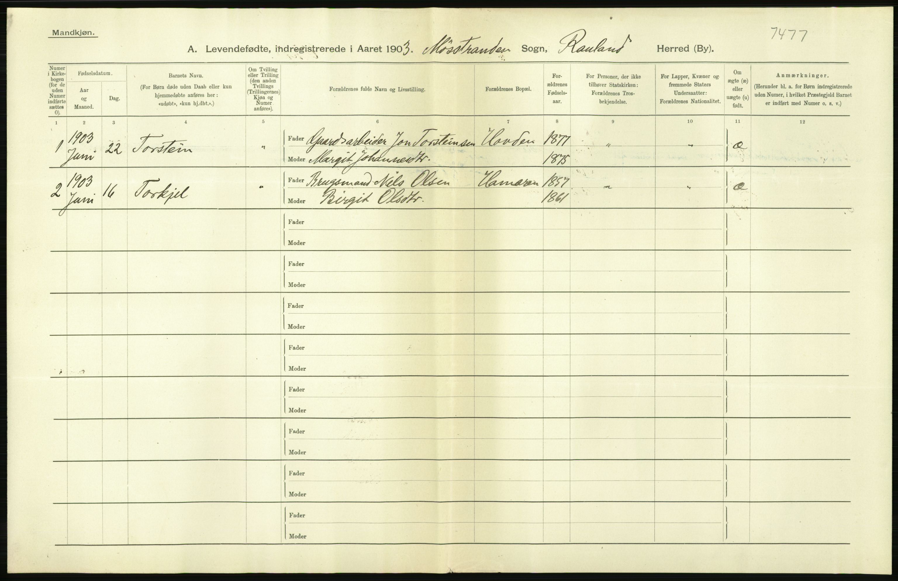 Statistisk sentralbyrå, Sosiodemografiske emner, Befolkning, RA/S-2228/D/Df/Dfa/Dfaa/L0009: Bratsberg amt: Fødte, gifte, døde, 1903, p. 10