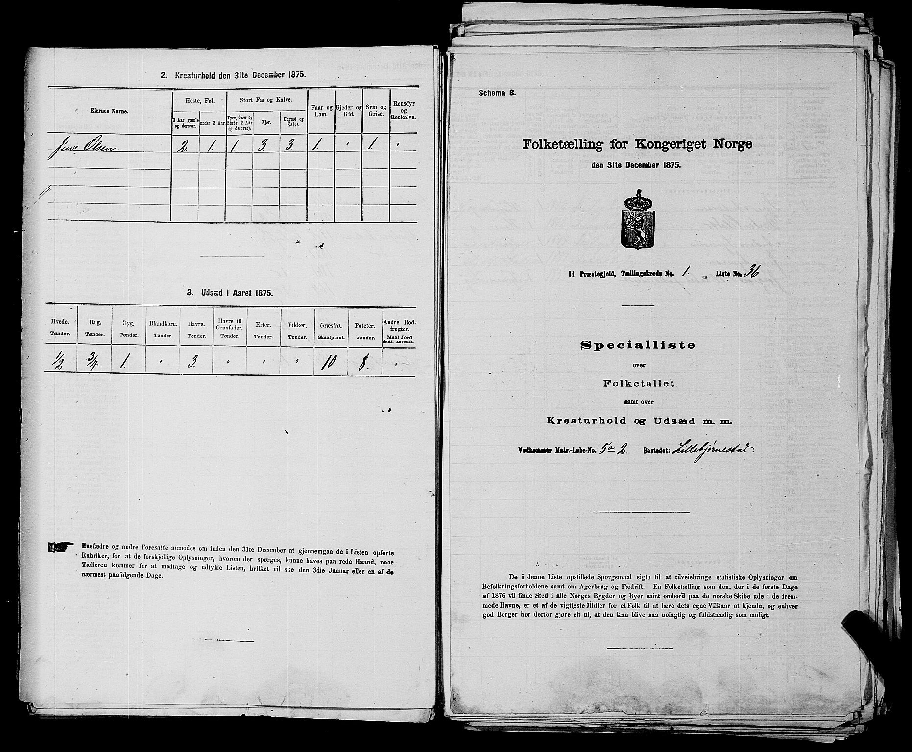 RA, 1875 census for 0117P Idd, 1875, p. 71