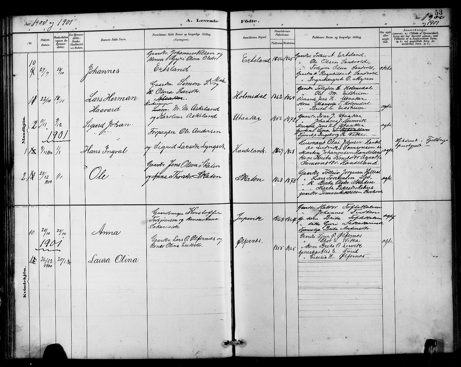 Husnes Sokneprestembete, SAB/A-75901/H/Hab: Parish register (copy) no. B 2, 1884-1914, p. 53