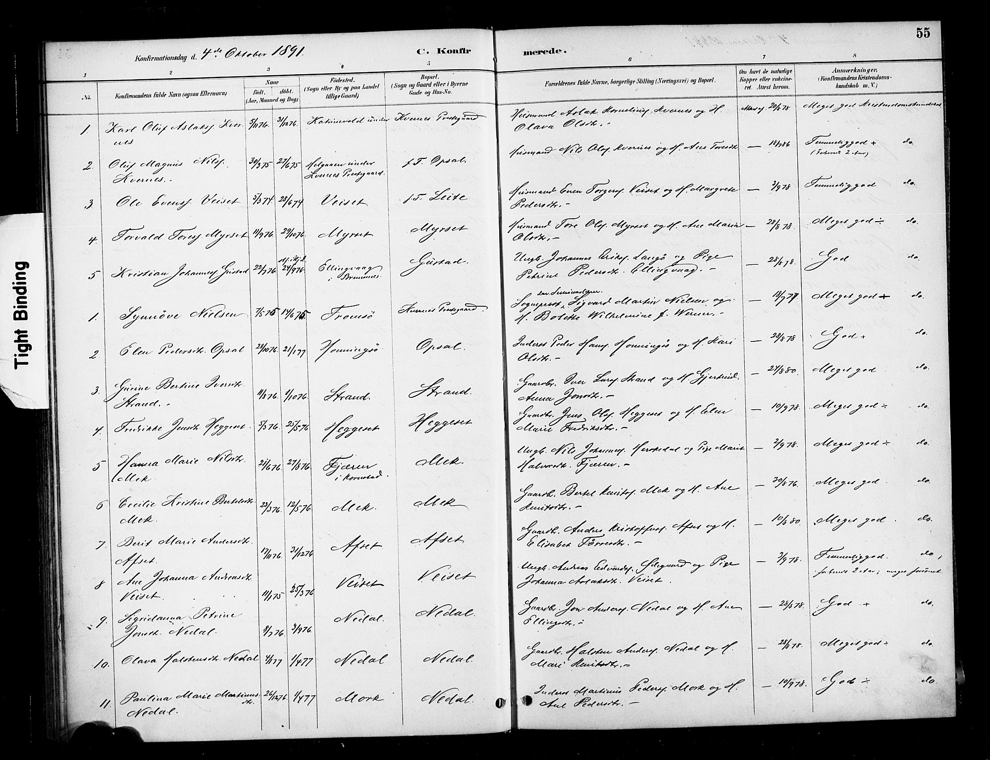 Ministerialprotokoller, klokkerbøker og fødselsregistre - Møre og Romsdal, SAT/A-1454/568/L0809: Parish register (official) no. 568A13, 1884-1900, p. 55