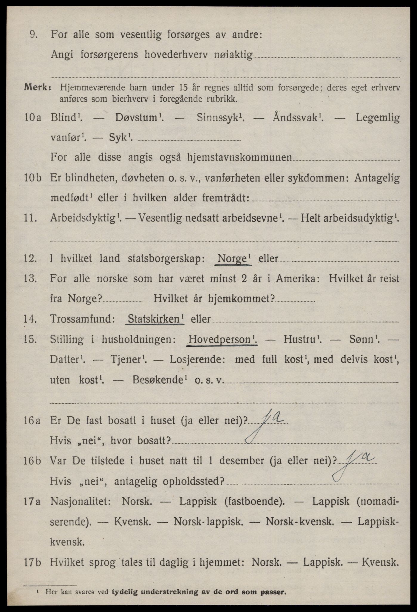 SAT, 1920 census for Soknedal, 1920, p. 3063