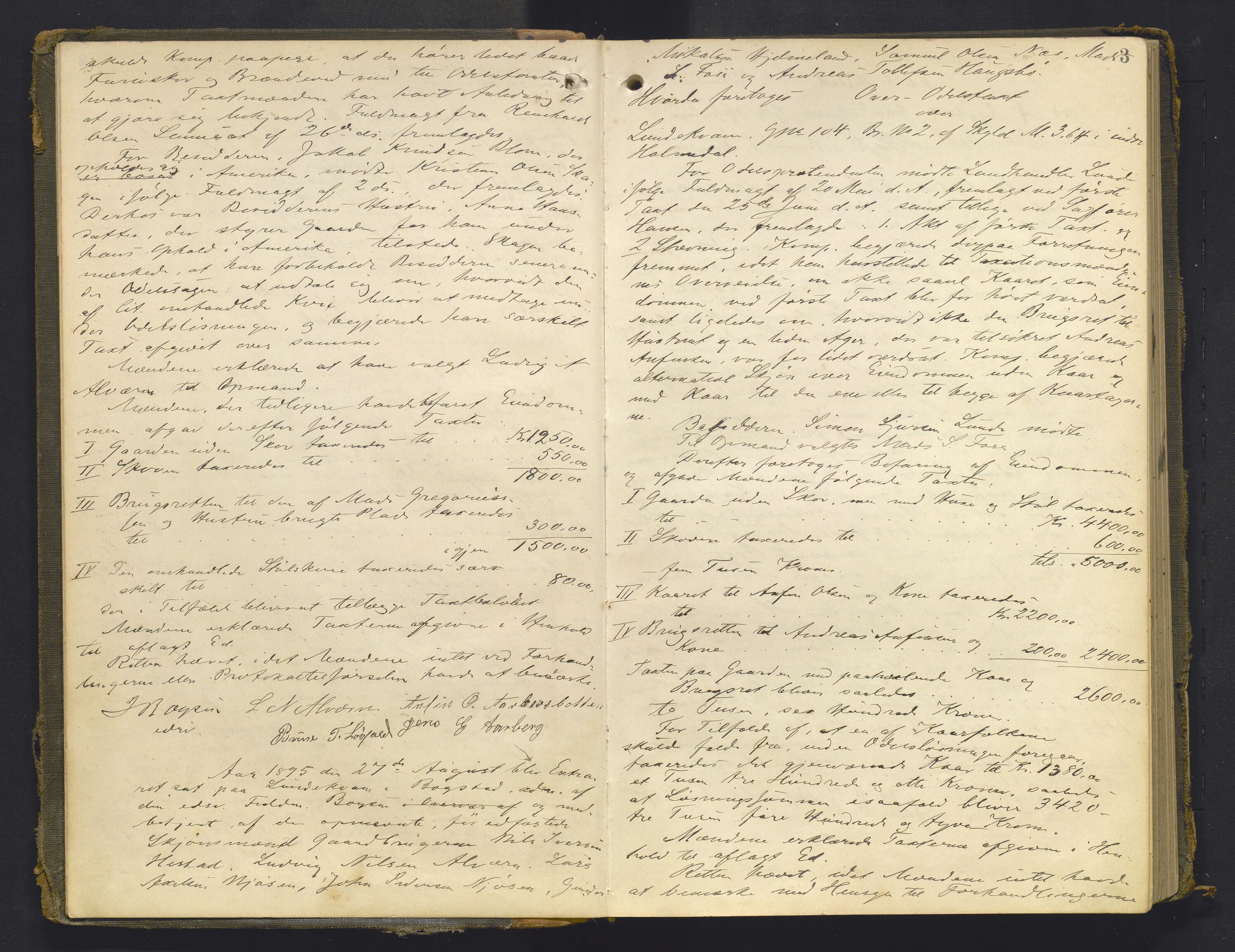 Sunnfjord tingrett, AV/SAB-A-3201/1/F/Fb/Fba/L0054: Ekstrarettsprotokoll, 1891-1908, p. 2b-3a