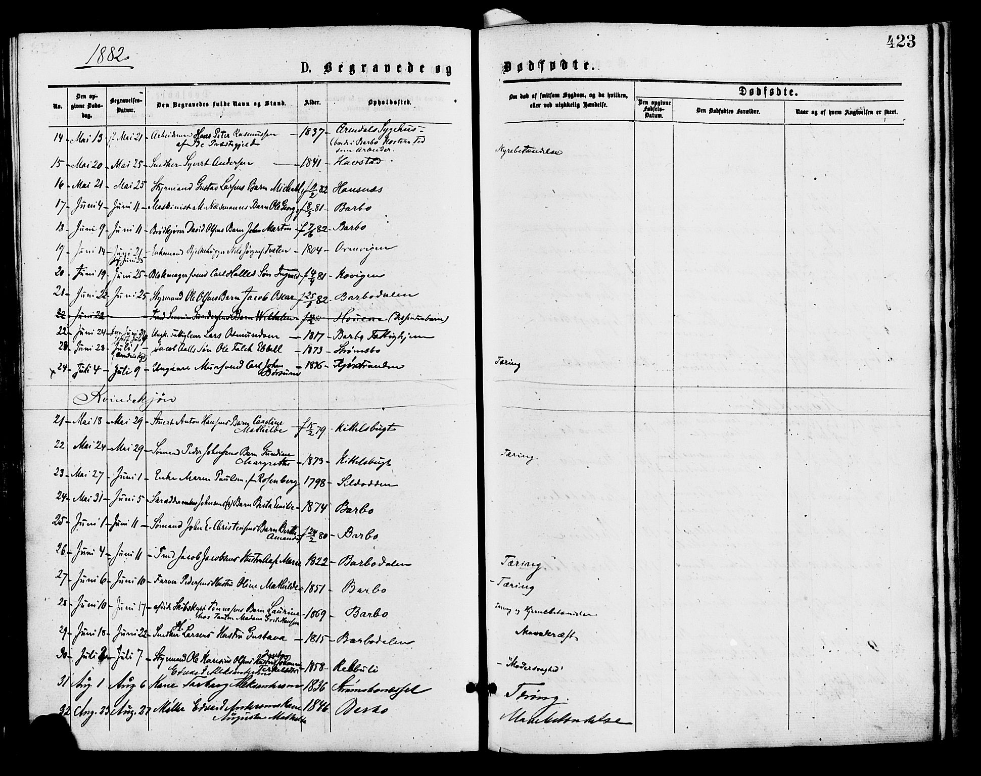 Barbu sokneprestkontor, AV/SAK-1111-0003/F/Fa/L0001: Parish register (official) no. A 1 /1, 1878-1883, p. 423