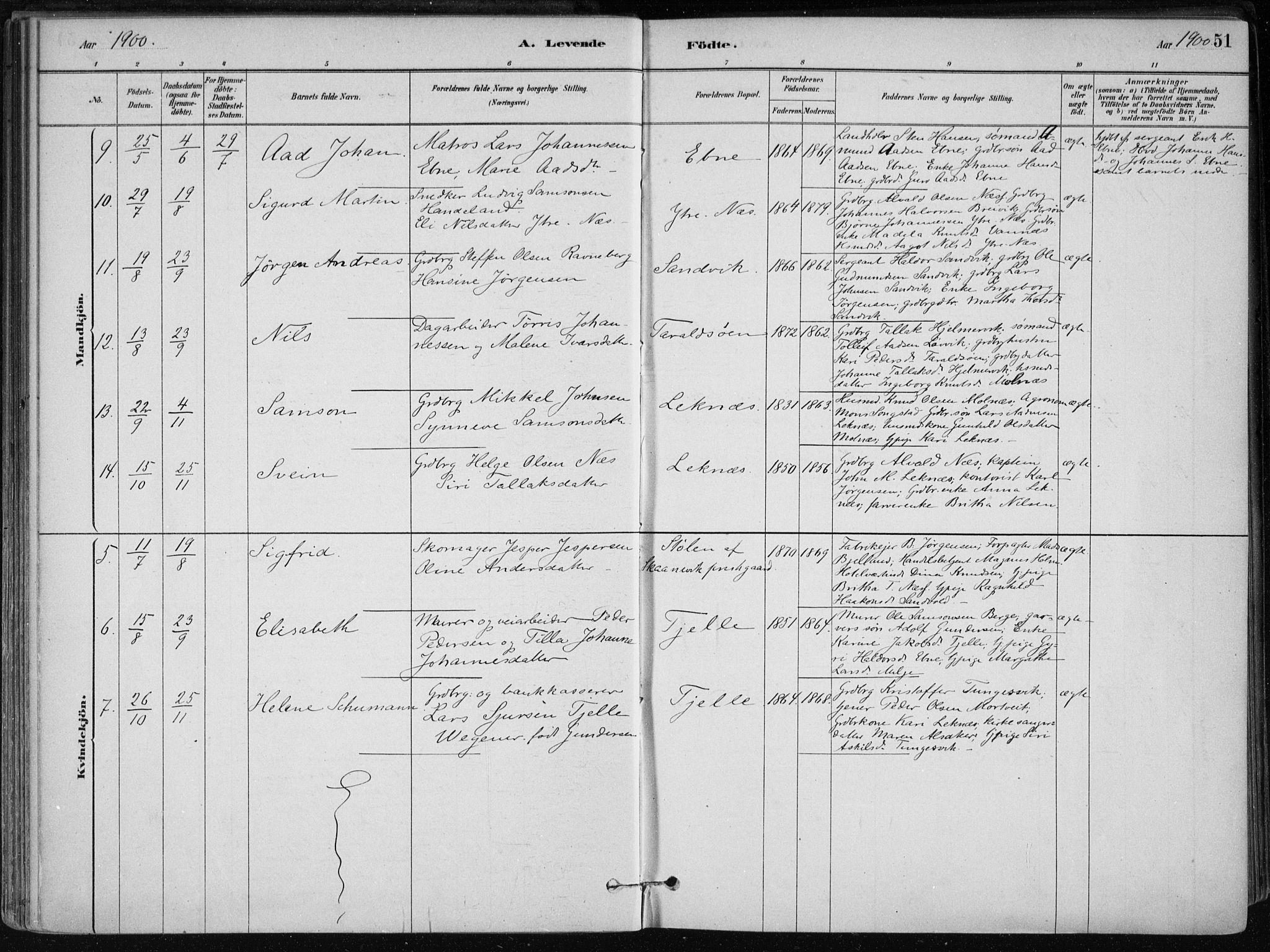 Skånevik sokneprestembete, AV/SAB-A-77801/H/Haa: Parish register (official) no. B 1, 1879-1914, p. 51