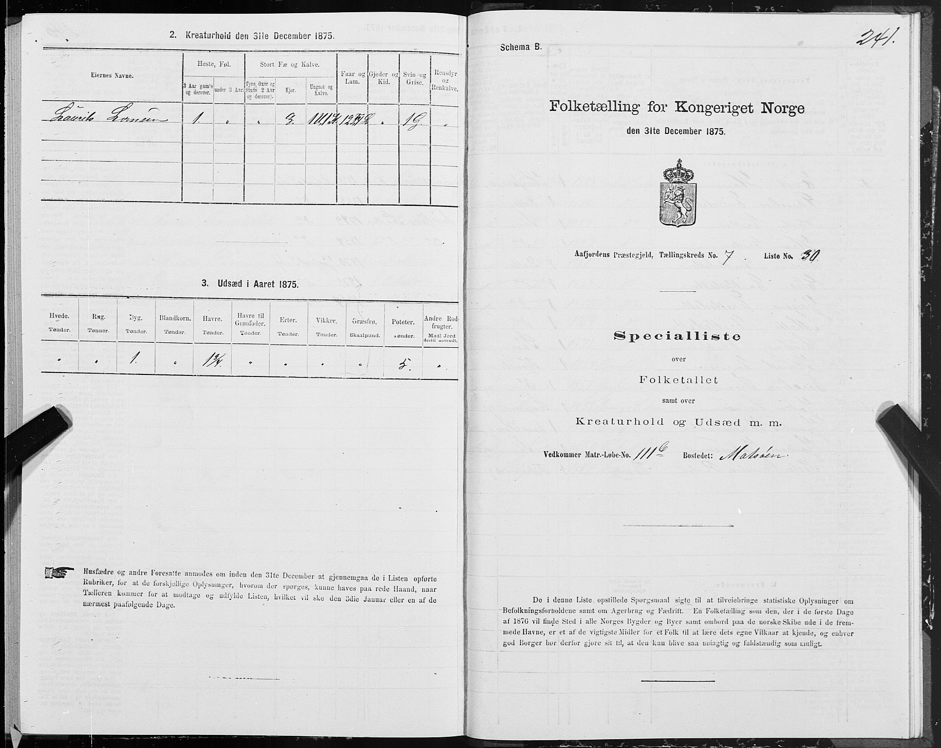 SAT, 1875 census for 1630P Aafjorden, 1875, p. 3241