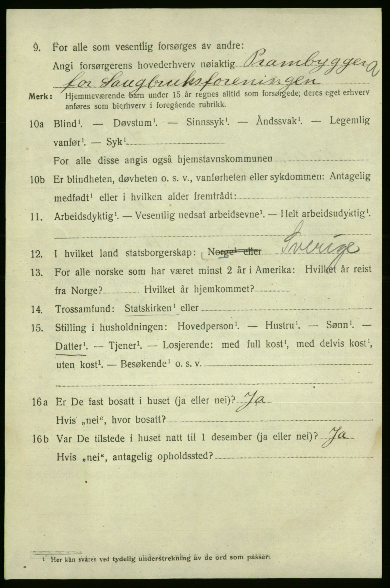 SAO, 1920 census for Fredrikshald, 1920, p. 13437