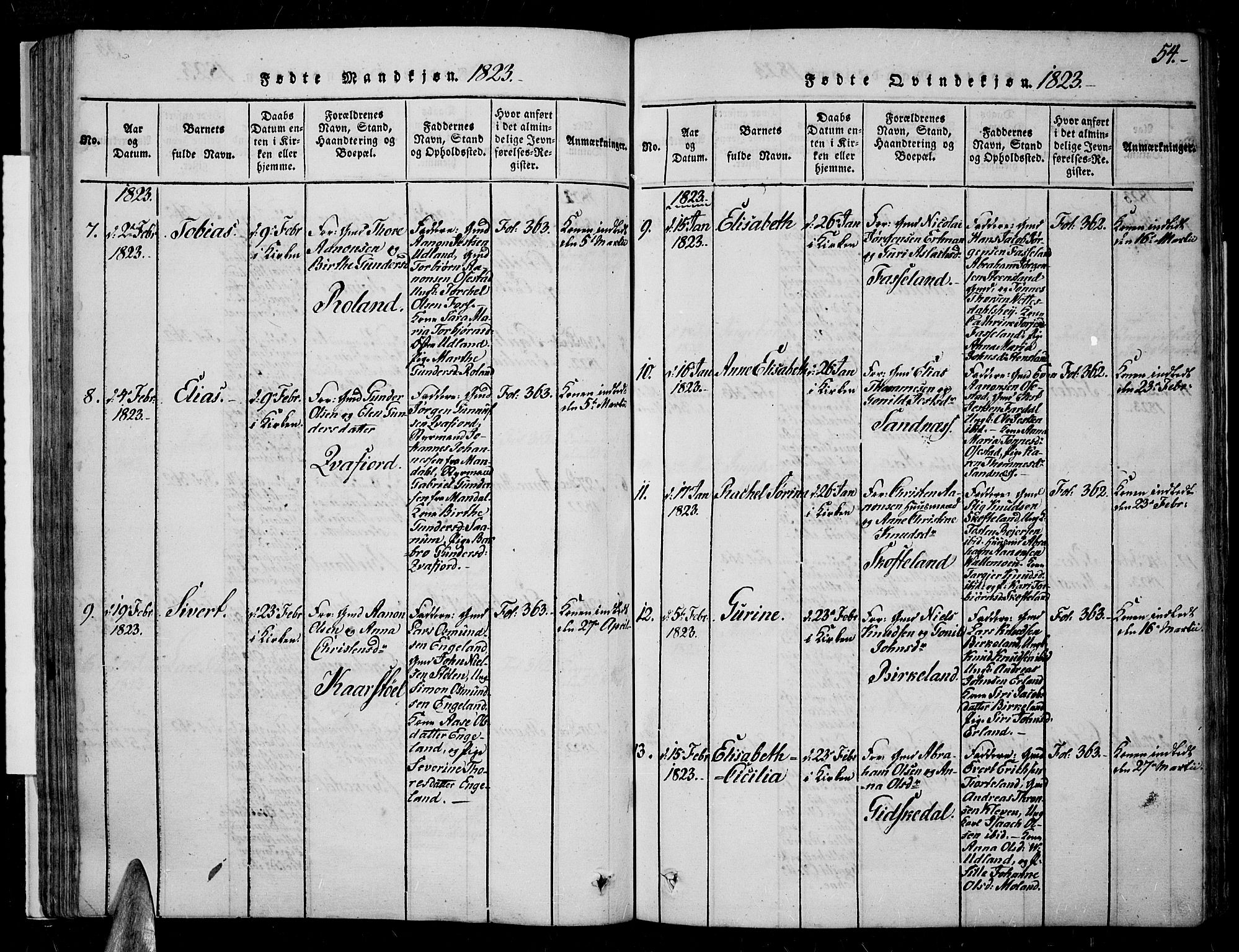 Sør-Audnedal sokneprestkontor, AV/SAK-1111-0039/F/Fa/Fab/L0005: Parish register (official) no. A 5, 1816-1830, p. 54