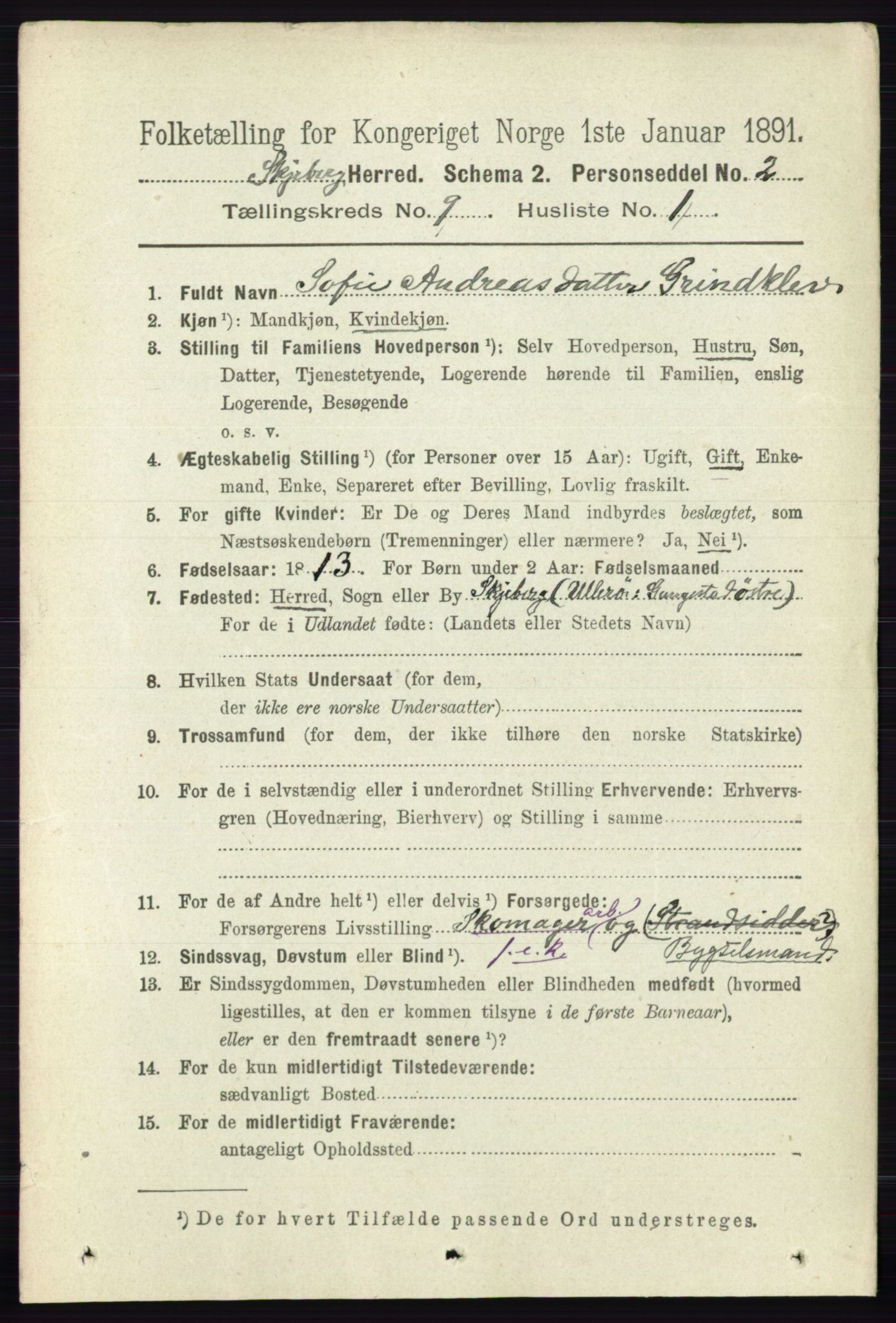 RA, 1891 census for 0115 Skjeberg, 1891, p. 4671
