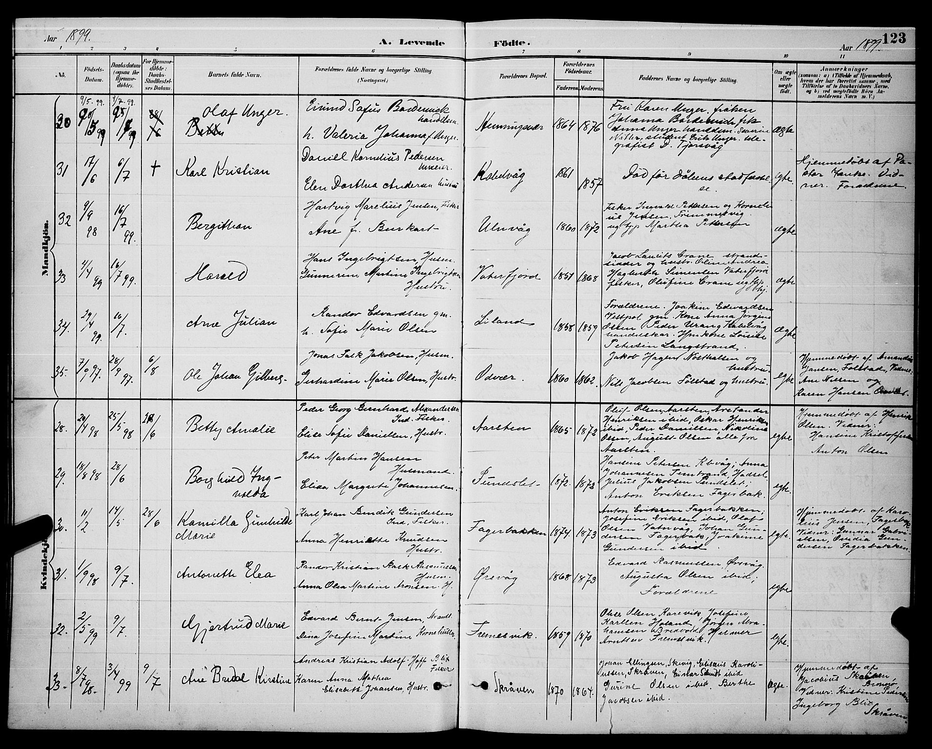 Ministerialprotokoller, klokkerbøker og fødselsregistre - Nordland, AV/SAT-A-1459/874/L1077: Parish register (copy) no. 874C06, 1891-1900, p. 123