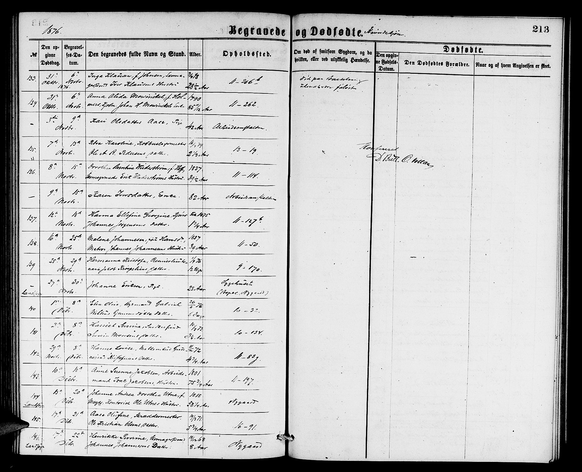 Domkirken sokneprestembete, AV/SAB-A-74801/H/Hab/L0040: Parish register (copy) no. E 4, 1868-1877, p. 213