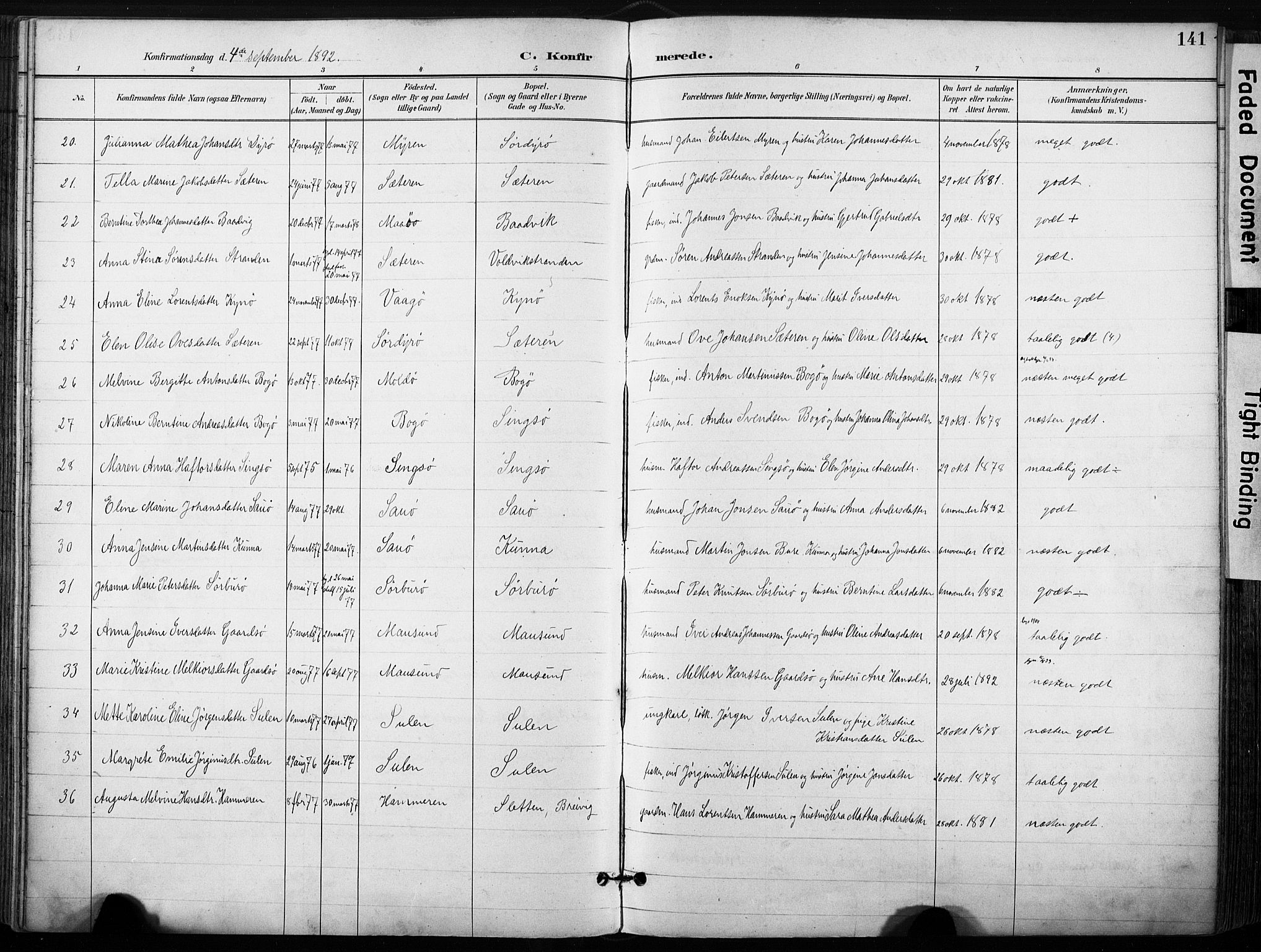 Ministerialprotokoller, klokkerbøker og fødselsregistre - Sør-Trøndelag, SAT/A-1456/640/L0579: Parish register (official) no. 640A04, 1889-1902, p. 141