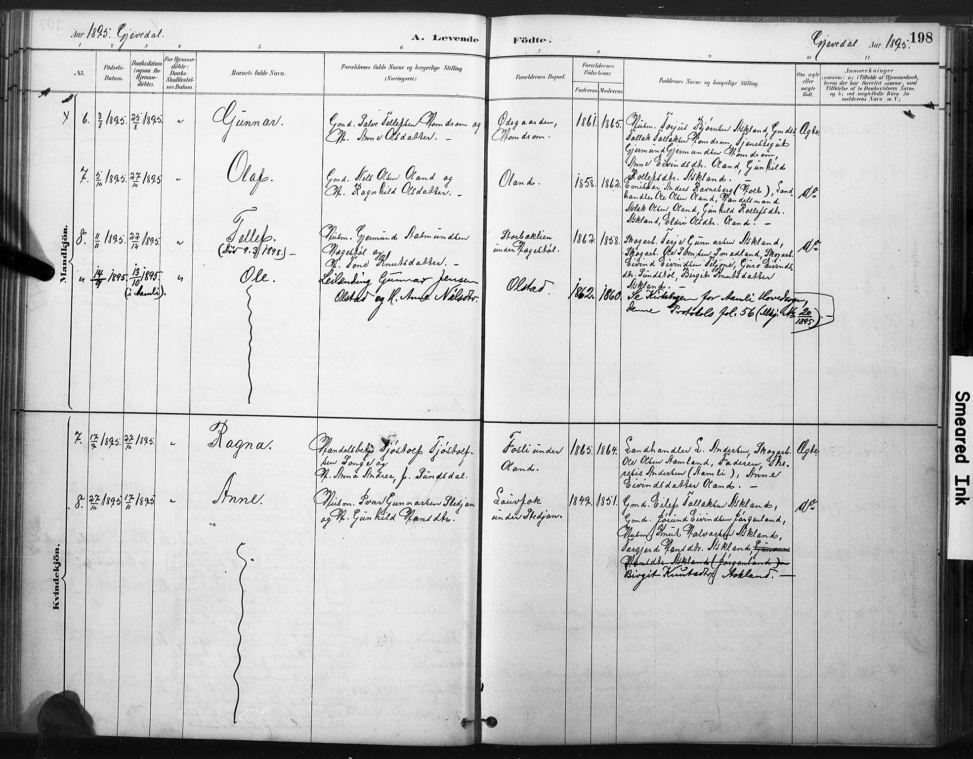 Åmli sokneprestkontor, SAK/1111-0050/F/Fa/Fac/L0010: Parish register (official) no. A 10 /2, 1885-1899, p. 198