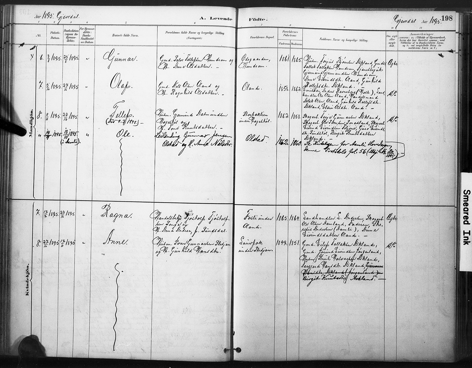 Åmli sokneprestkontor, AV/SAK-1111-0050/F/Fa/Fac/L0010: Parish register (official) no. A 10 /2, 1885-1899, p. 198