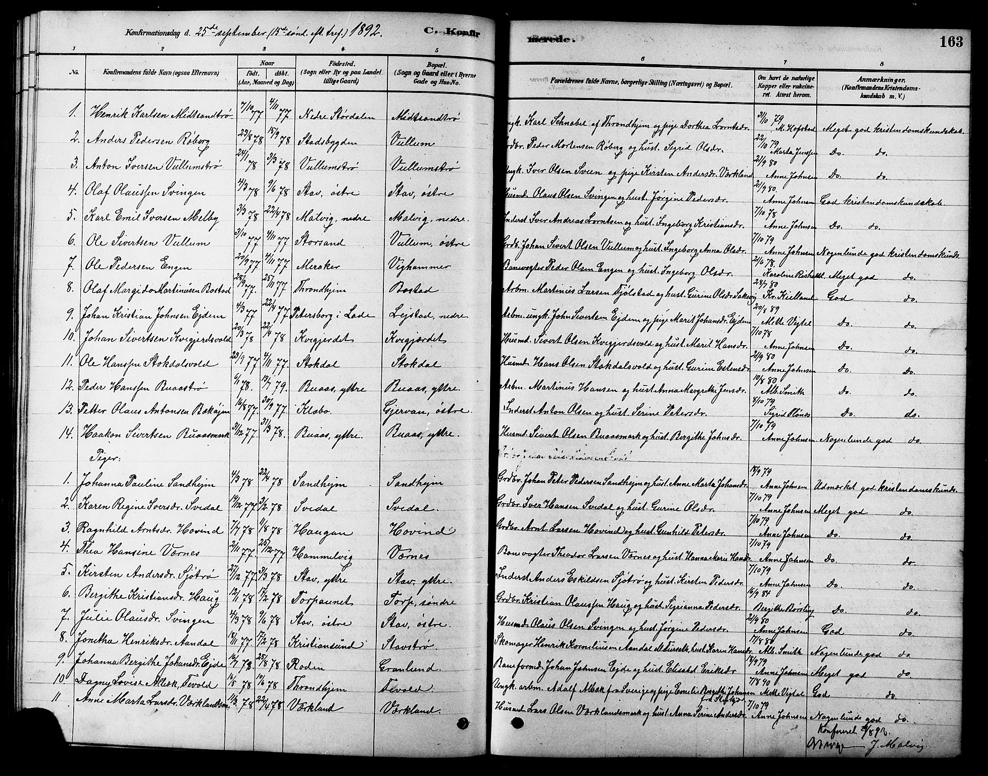 Ministerialprotokoller, klokkerbøker og fødselsregistre - Sør-Trøndelag, SAT/A-1456/616/L0423: Parish register (copy) no. 616C06, 1878-1903, p. 163