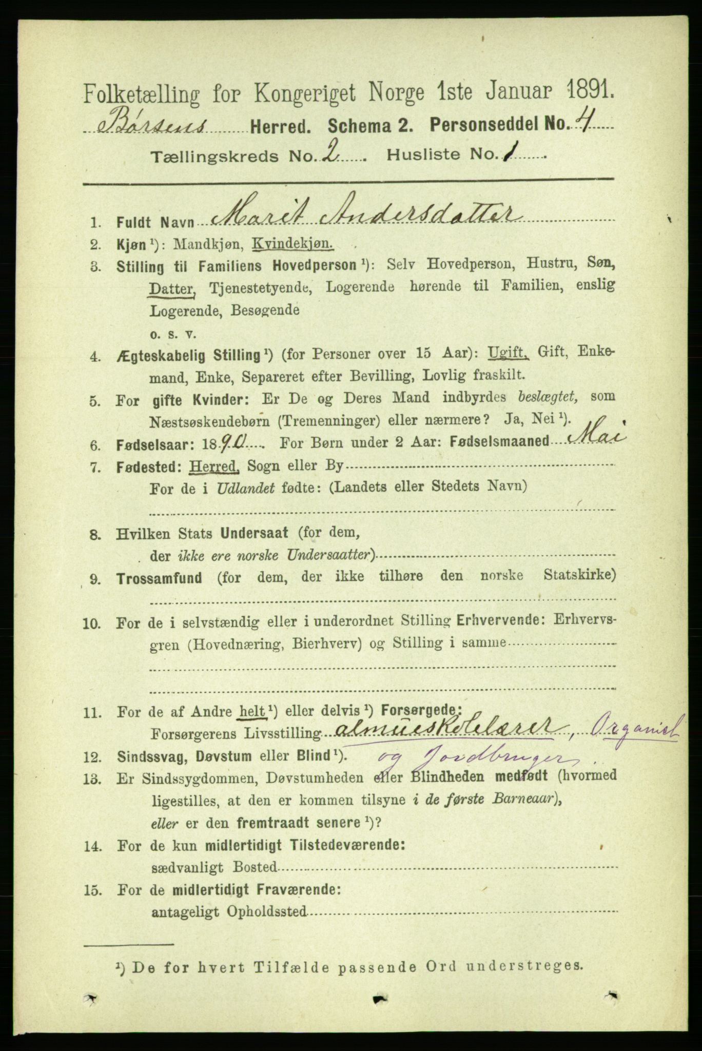 RA, 1891 census for 1658 Børsa, 1891, p. 514