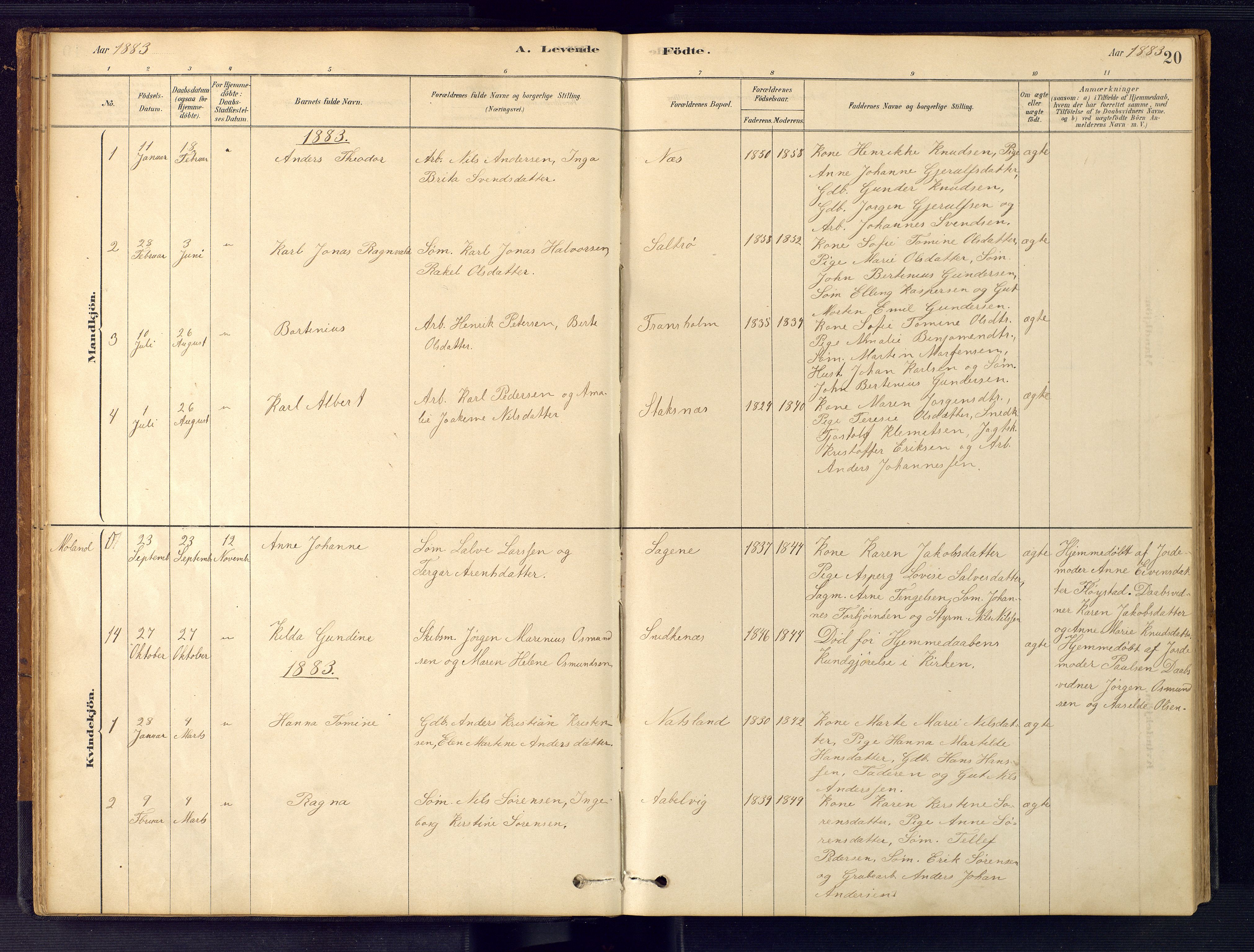 Austre Moland sokneprestkontor, AV/SAK-1111-0001/F/Fb/Fbb/L0001: Parish register (copy) no. B 1, 1878-1904, p. 20