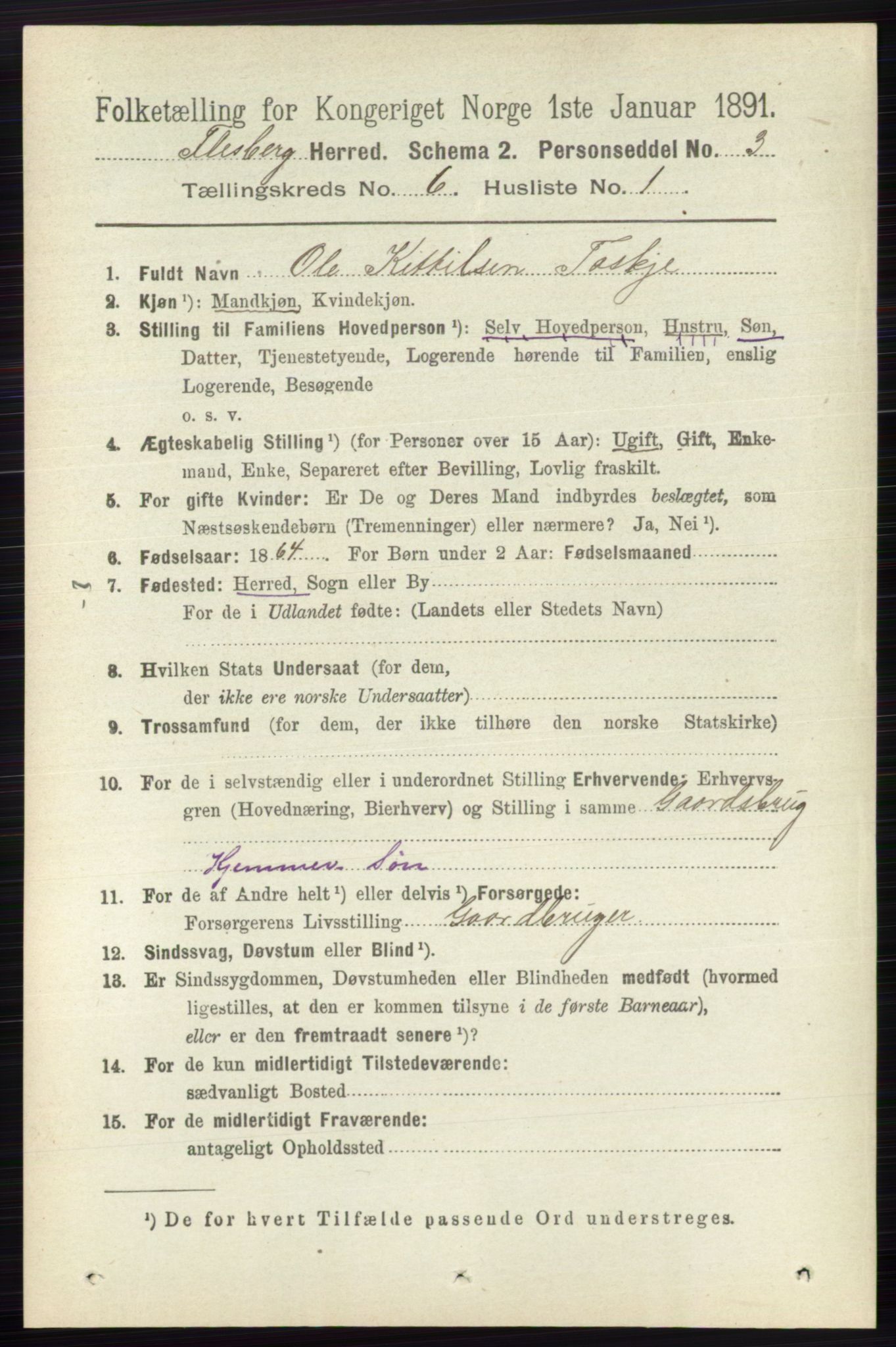 RA, 1891 census for 0631 Flesberg, 1891, p. 956