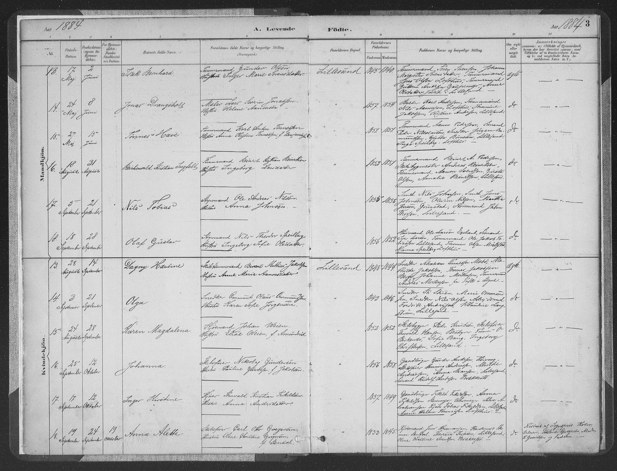 Vestre Moland sokneprestkontor, SAK/1111-0046/F/Fa/Faa/L0001: Parish register (official) no. A 1, 1884-1899, p. 3