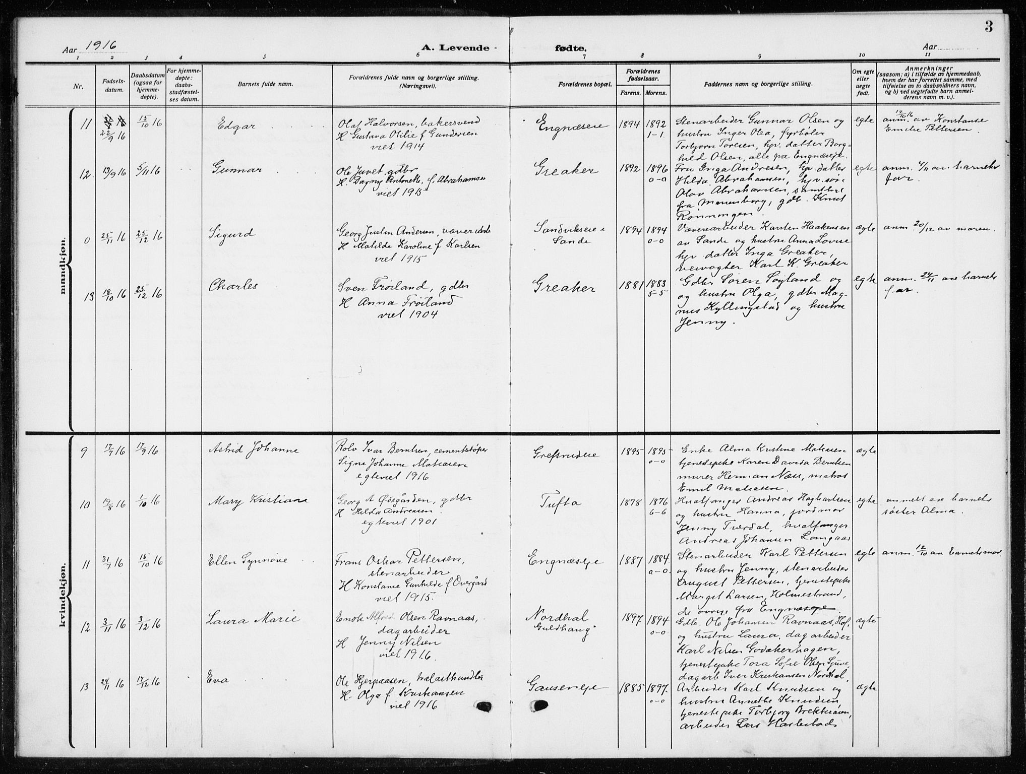 Botne kirkebøker, AV/SAKO-A-340/G/Ga/L0005: Parish register (copy) no. I 5, 1916-1934, p. 3