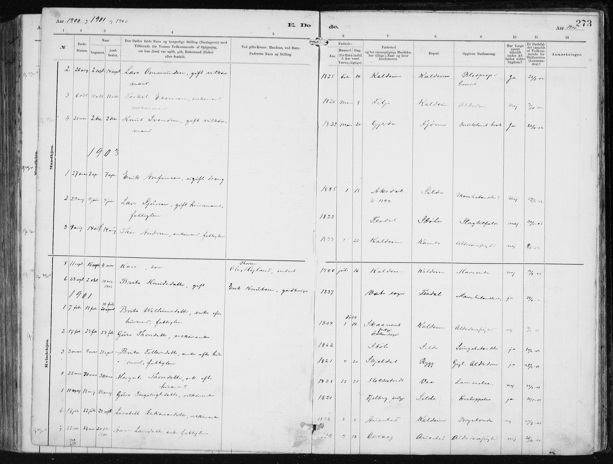 Etne sokneprestembete, SAB/A-75001/H/Haa: Parish register (official) no. B  1, 1879-1919, p. 273