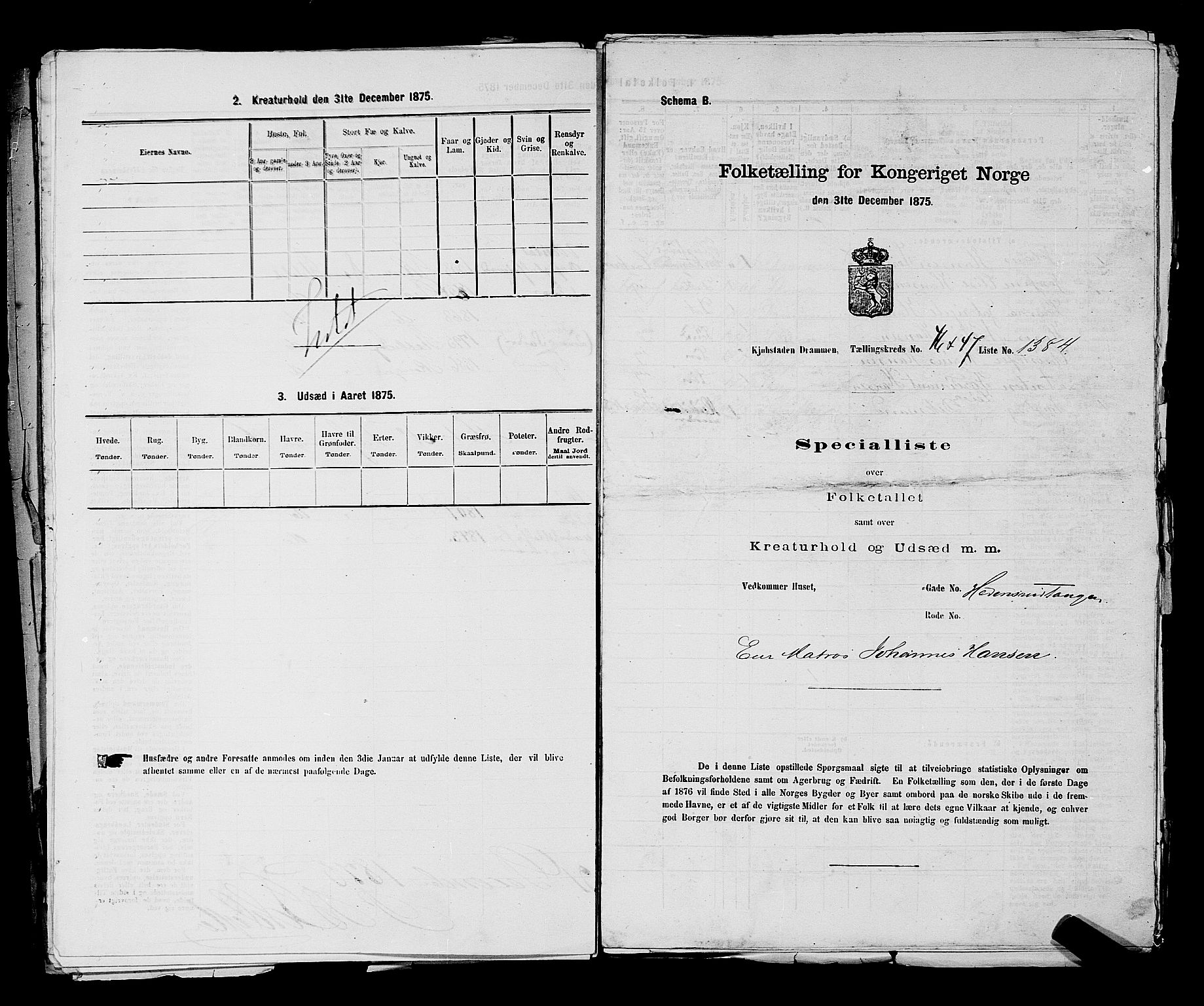 SAKO, 1875 census for 0602 Drammen, 1875, p. 3710