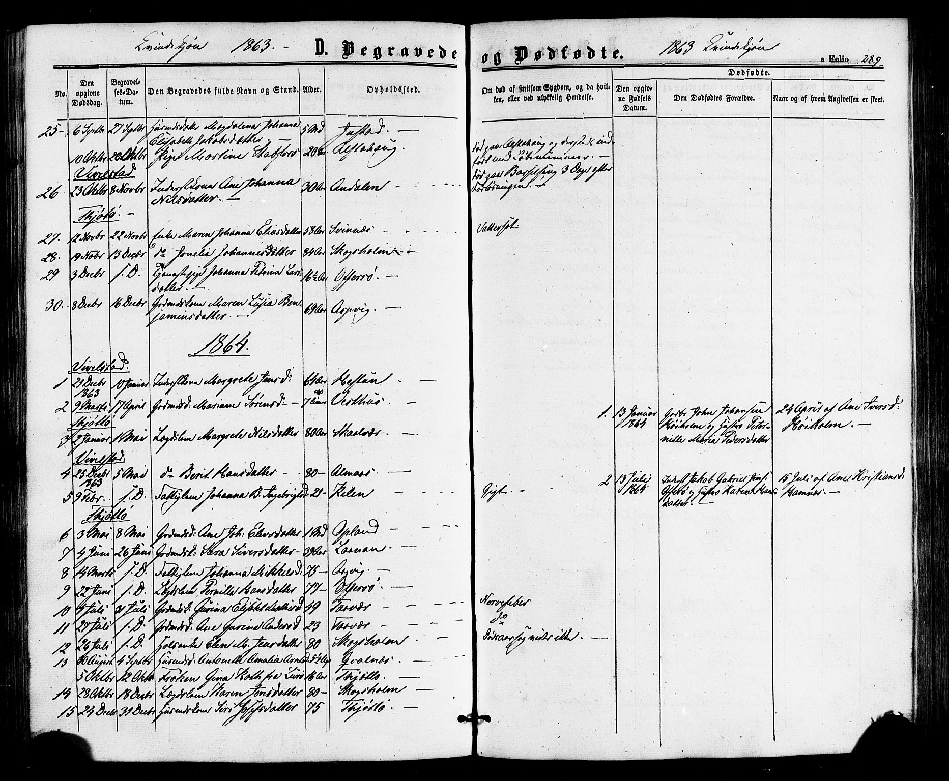 Ministerialprotokoller, klokkerbøker og fødselsregistre - Nordland, AV/SAT-A-1459/817/L0262: Parish register (official) no. 817A03/ 1, 1862-1877, p. 289