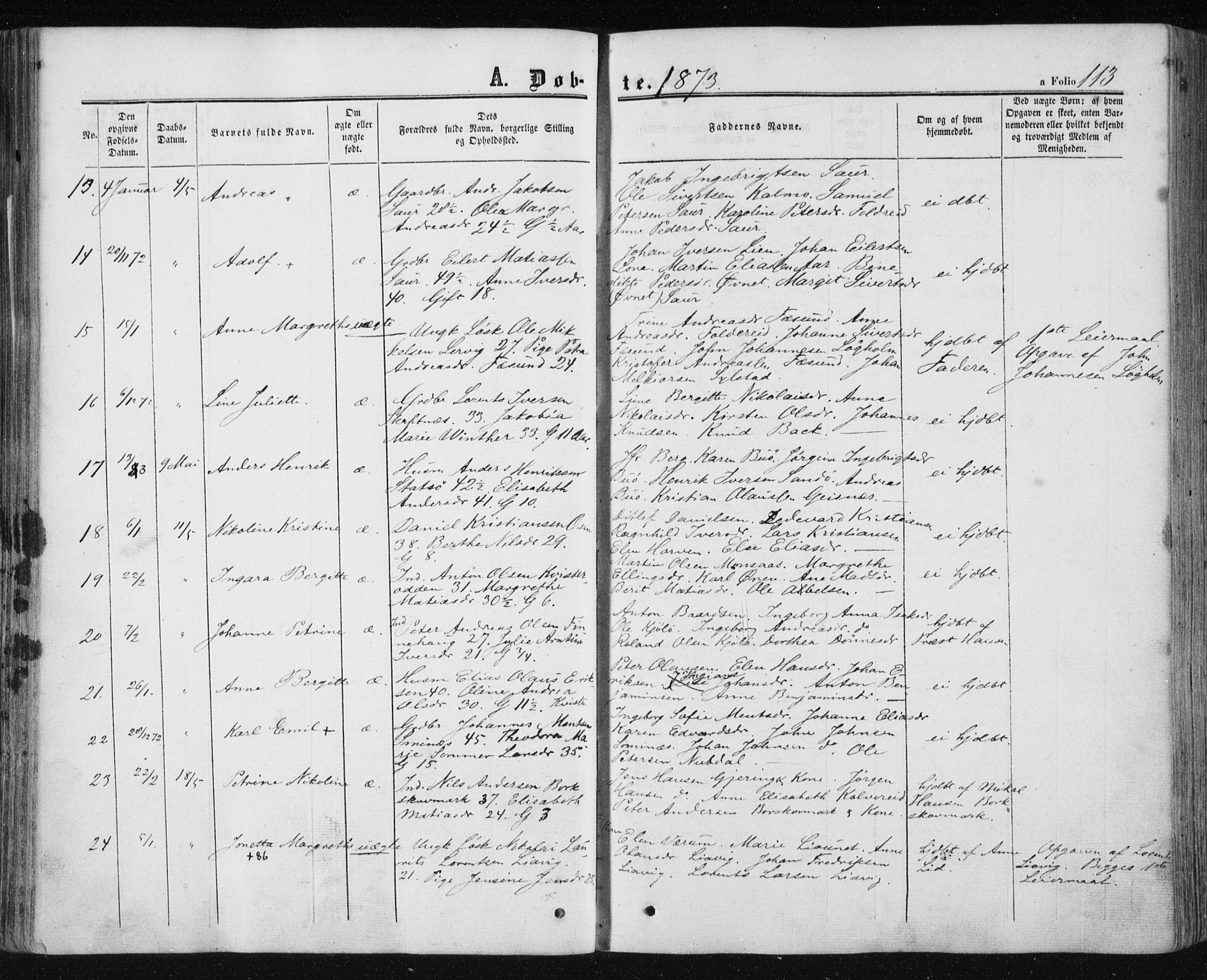 Ministerialprotokoller, klokkerbøker og fødselsregistre - Nord-Trøndelag, SAT/A-1458/780/L0641: Parish register (official) no. 780A06, 1857-1874, p. 113