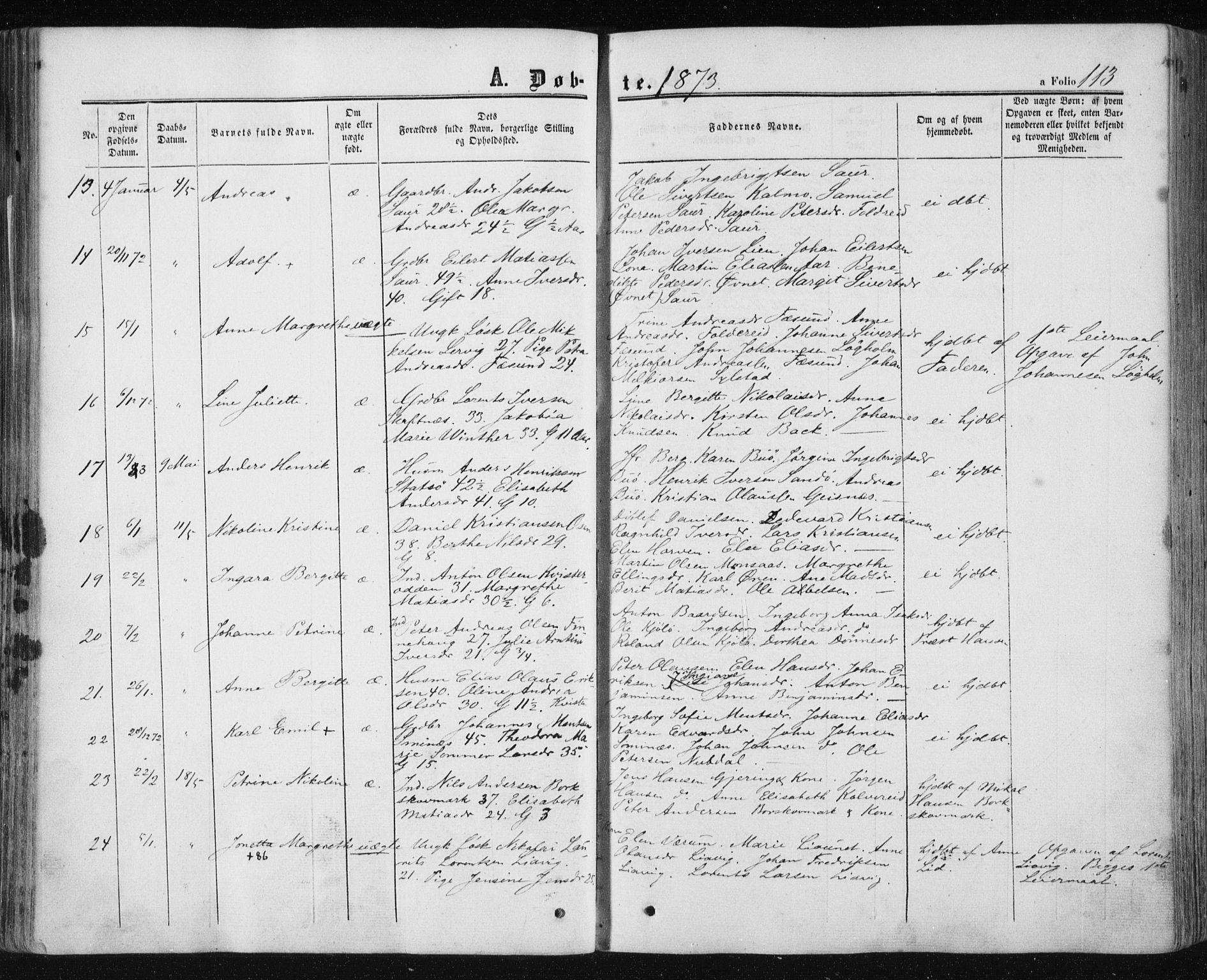 Ministerialprotokoller, klokkerbøker og fødselsregistre - Nord-Trøndelag, AV/SAT-A-1458/780/L0641: Parish register (official) no. 780A06, 1857-1874, p. 113