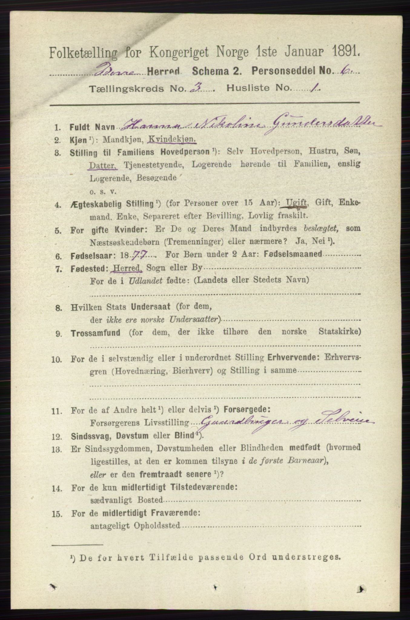 RA, 1891 census for 0717 Borre, 1891, p. 1220