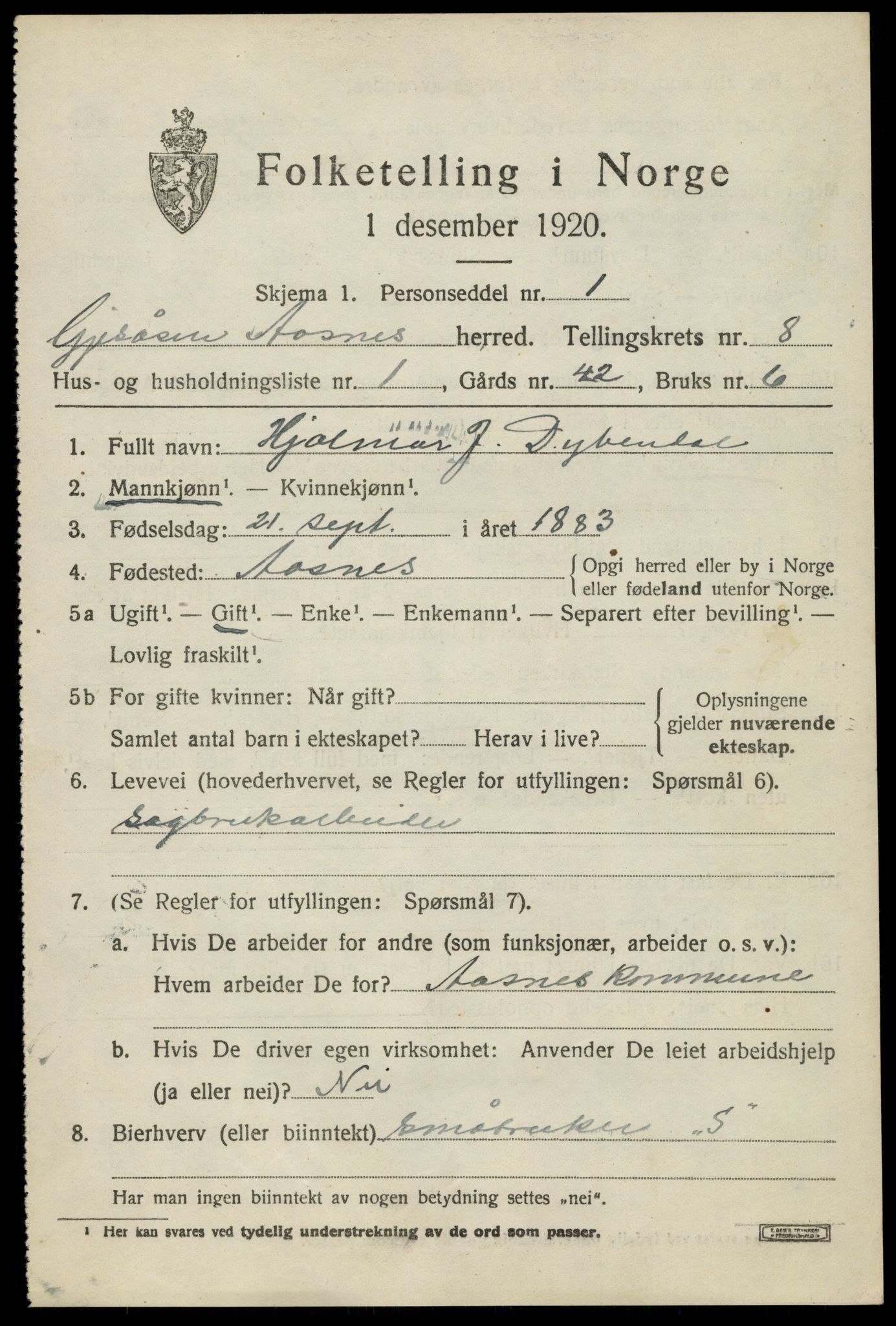 SAH, 1920 census for Åsnes, 1920, p. 9128