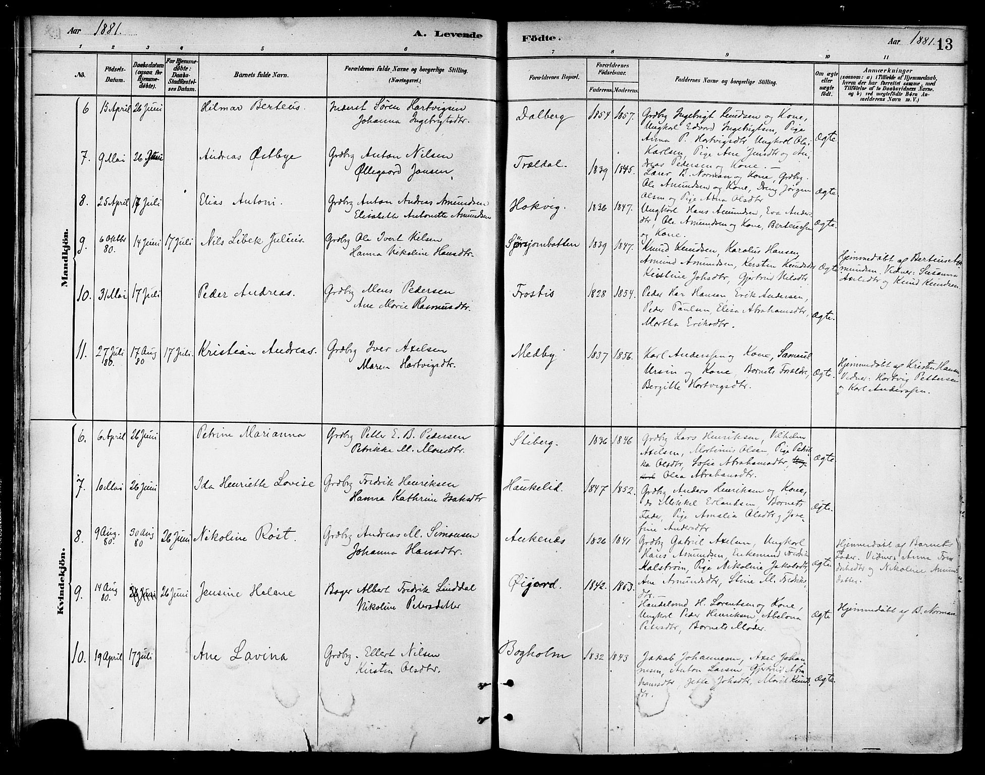 Ministerialprotokoller, klokkerbøker og fødselsregistre - Nordland, AV/SAT-A-1459/866/L0938: Parish register (official) no. 866A01, 1879-1893, p. 13