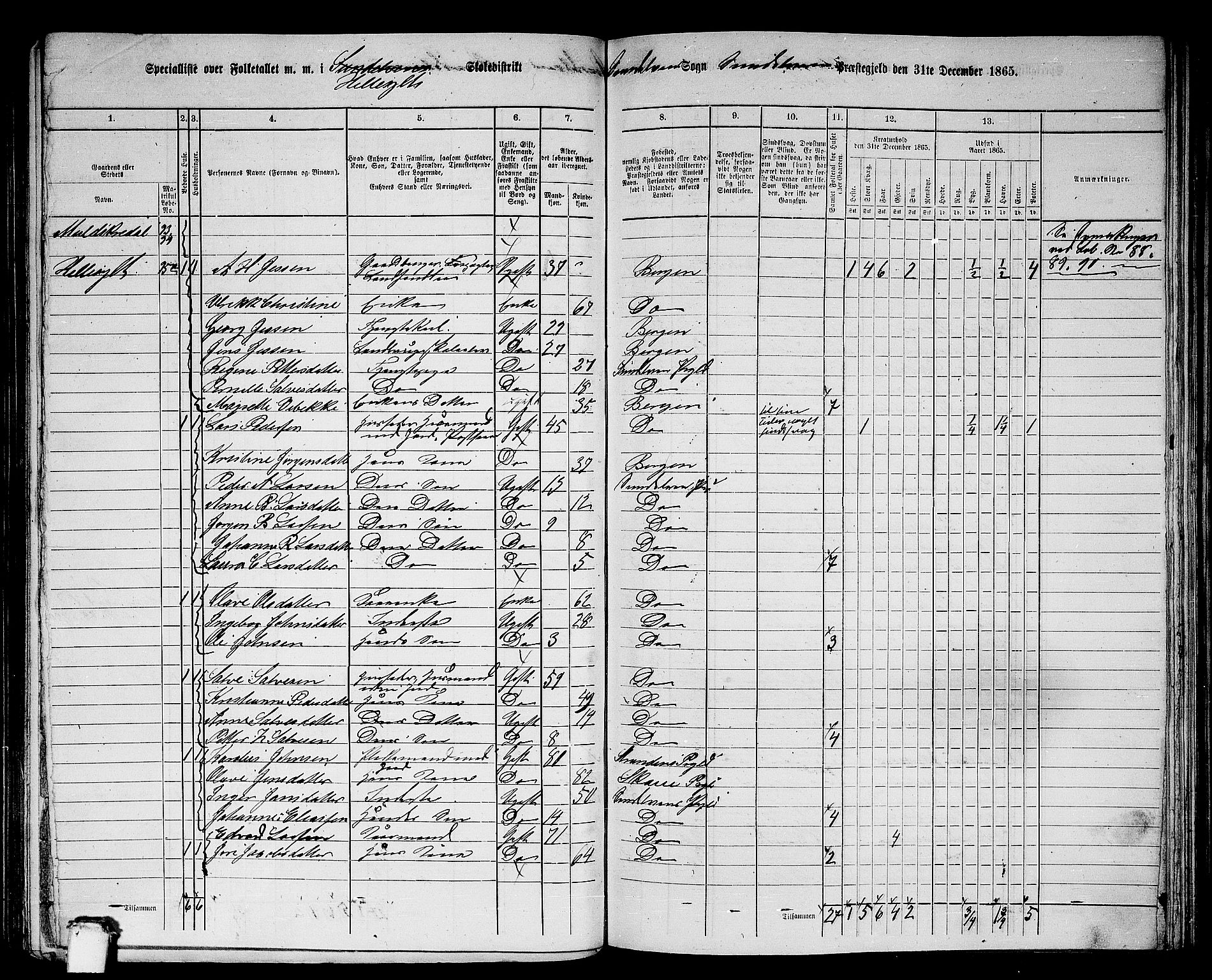 RA, 1865 census for Sunnylven, 1865, p. 9