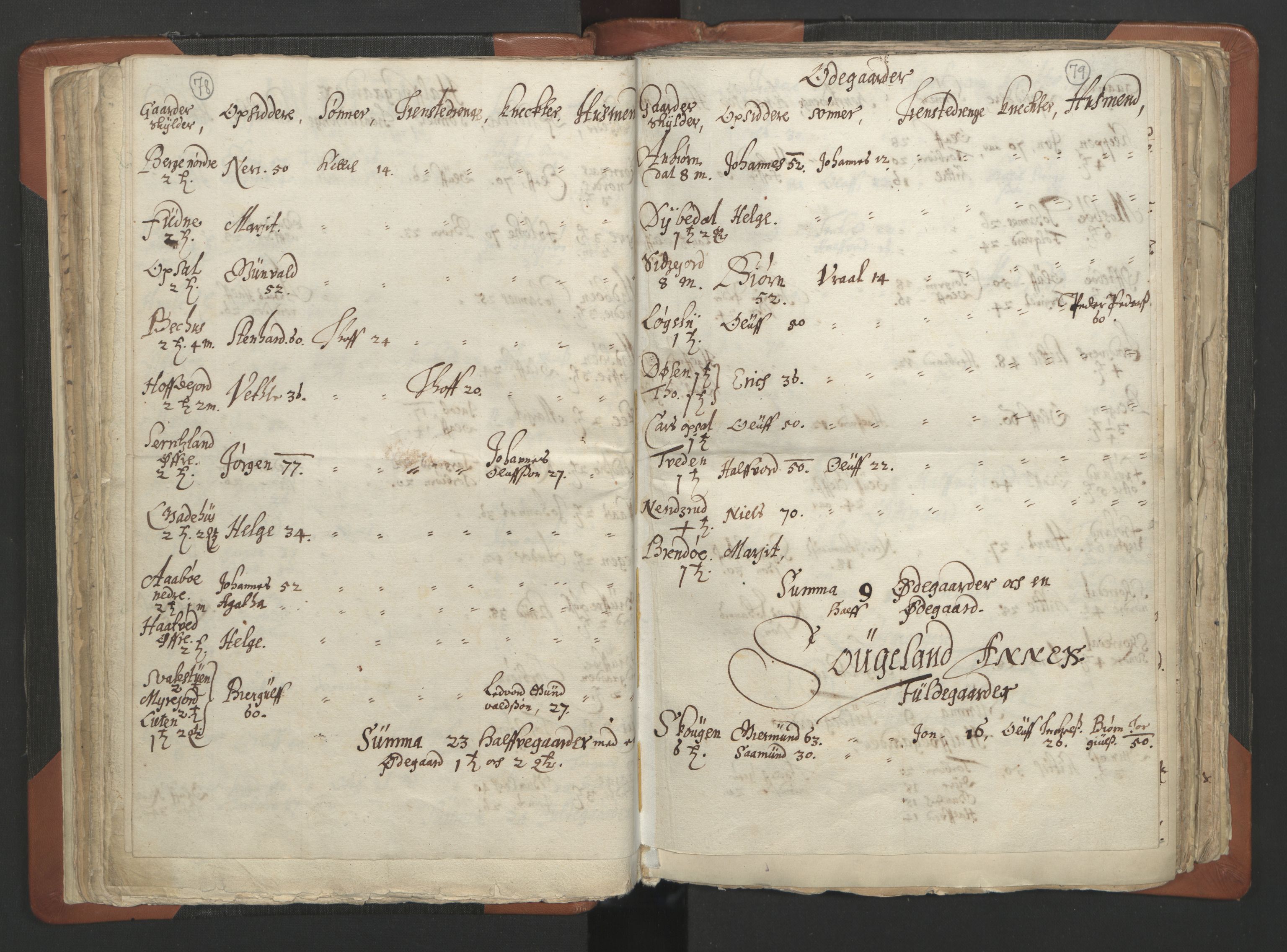 RA, Vicar's Census 1664-1666, no. 12: Øvre Telemark deanery, Nedre Telemark deanery and Bamble deanery, 1664-1666, p. 78-79