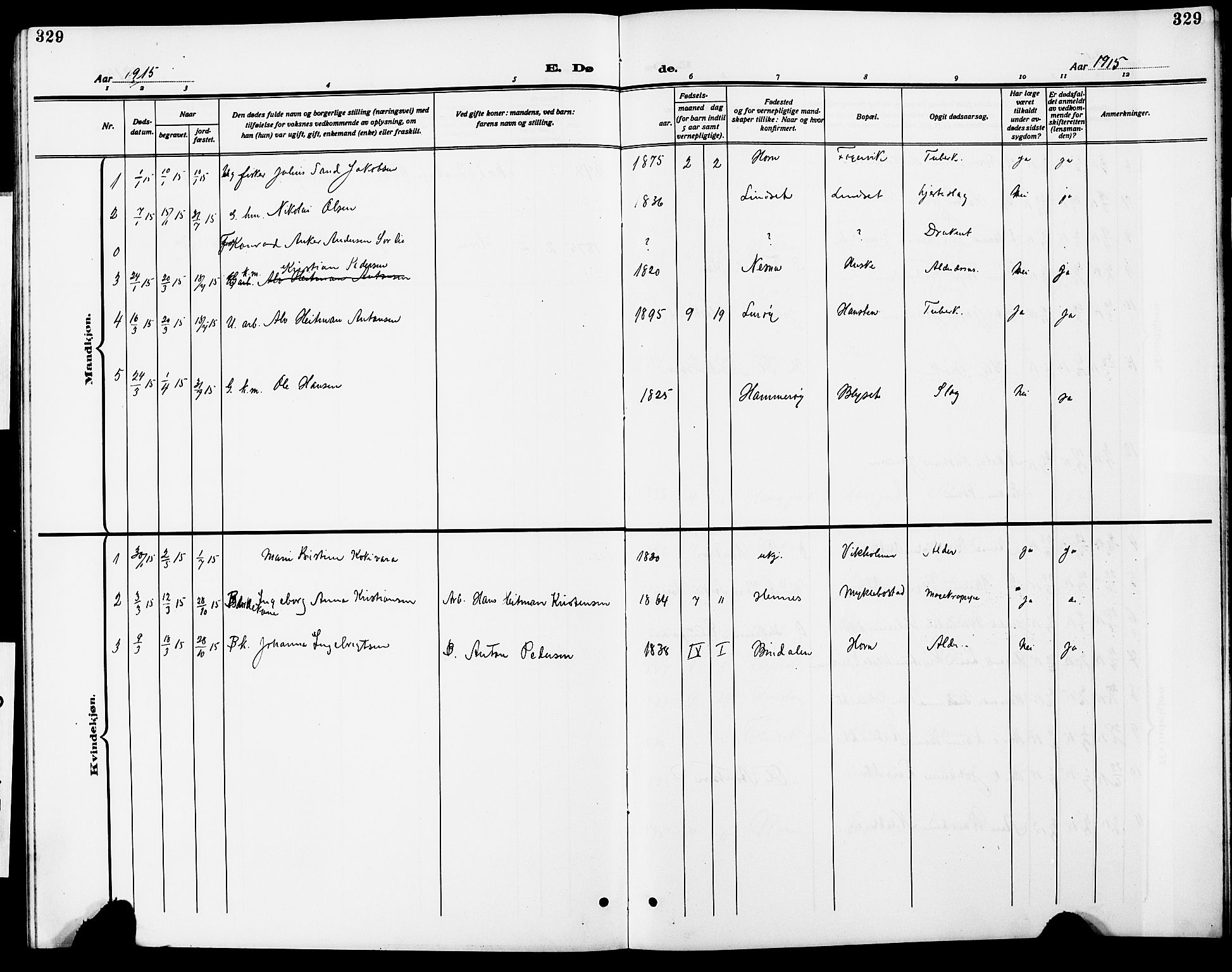 Ministerialprotokoller, klokkerbøker og fødselsregistre - Nordland, AV/SAT-A-1459/838/L0560: Parish register (copy) no. 838C07, 1910-1928, p. 329