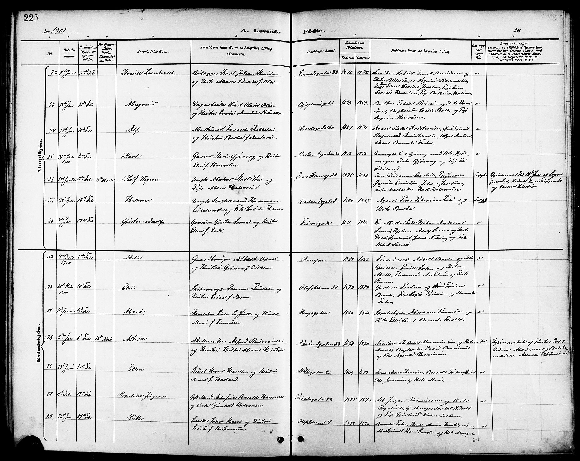 Domkirken sokneprestkontor, AV/SAST-A-101812/001/30/30BB/L0016: Parish register (copy) no. B 16, 1891-1902, p. 225