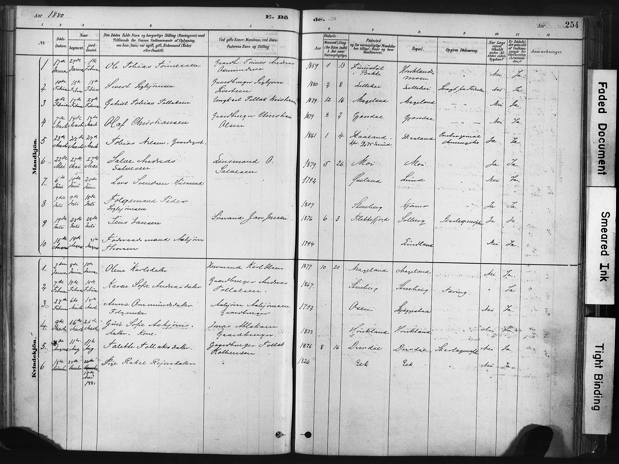 Lund sokneprestkontor, AV/SAST-A-101809/S06/L0011: Parish register (official) no. A 10, 1877-1904, p. 254