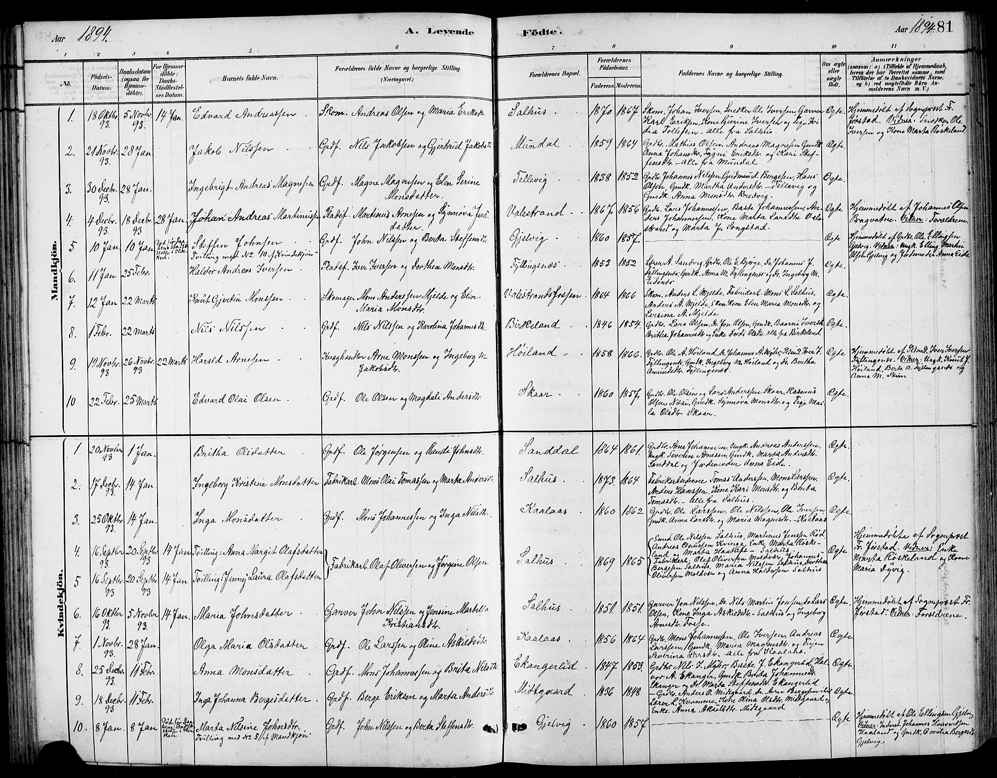 Hamre sokneprestembete, SAB/A-75501/H/Ha/Hab: Parish register (copy) no. B 3, 1881-1898, p. 81