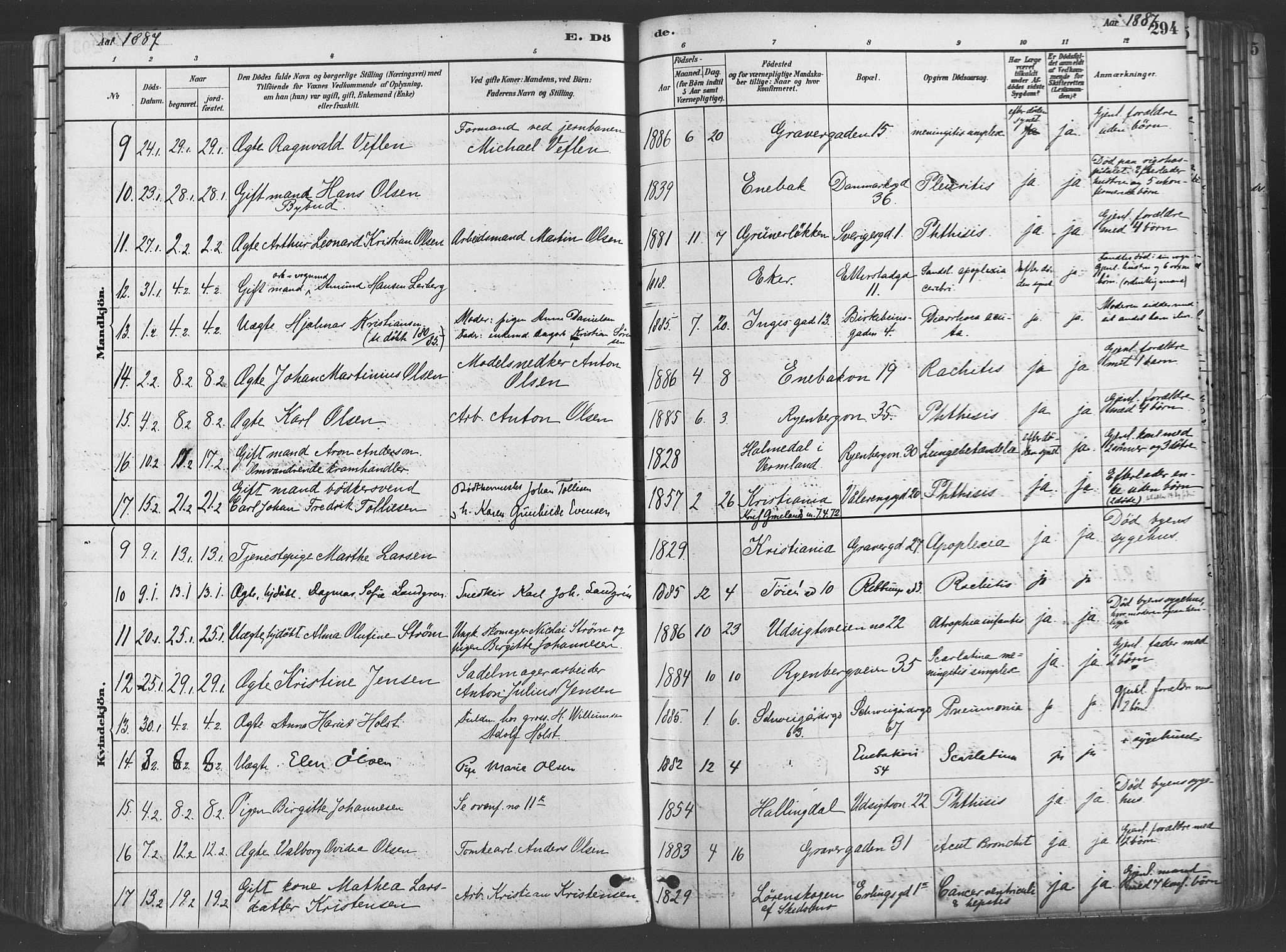 Gamlebyen prestekontor Kirkebøker, SAO/A-10884/F/Fa/L0006: Parish register (official) no. 6, 1881-1890, p. 294