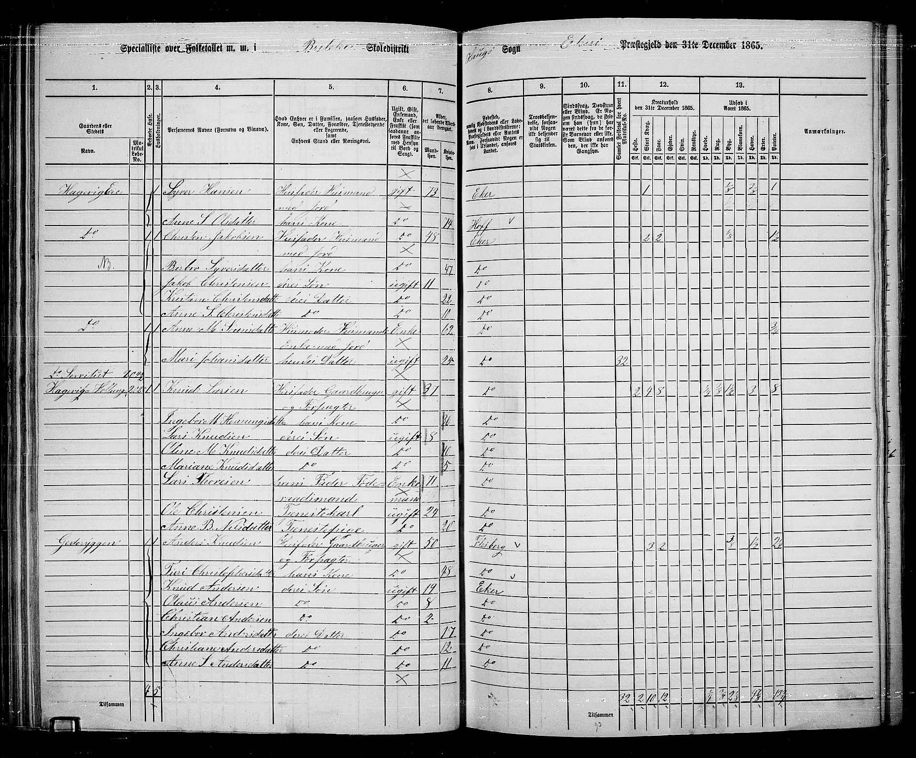 RA, 1865 census for Eiker, 1865, p. 72