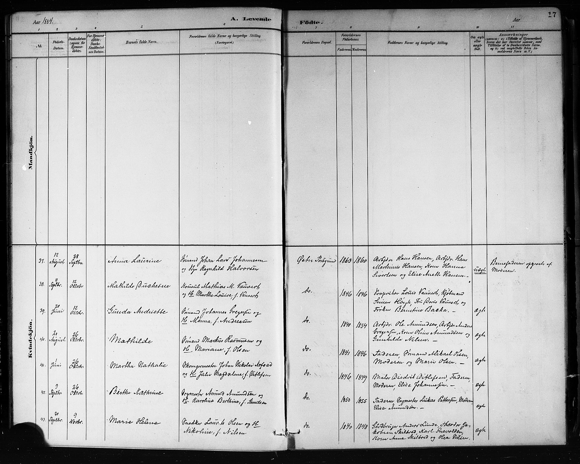 Porsgrunn kirkebøker , AV/SAKO-A-104/G/Gb/L0005: Parish register (copy) no. II 5, 1883-1915, p. 17