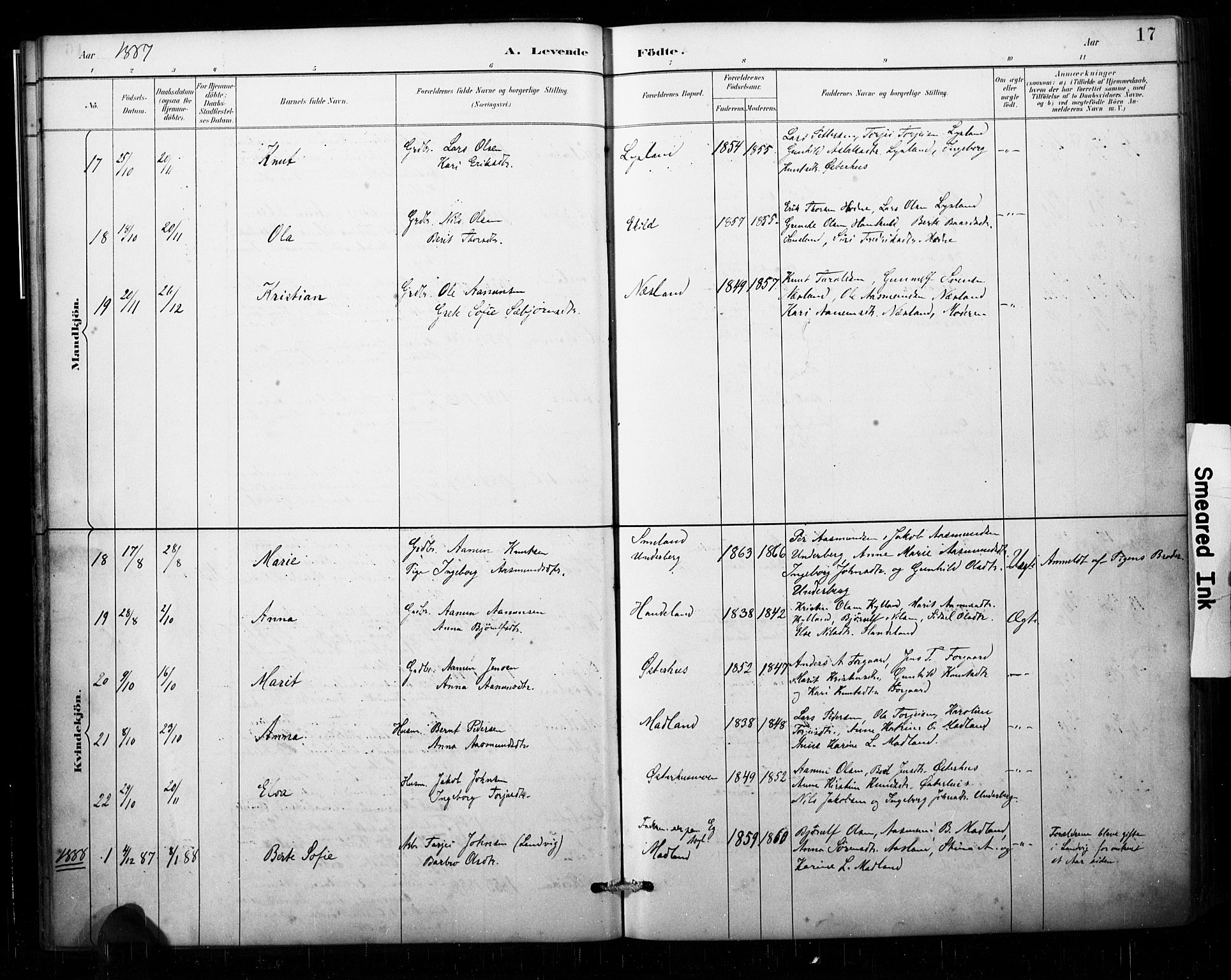 Åseral sokneprestkontor, AV/SAK-1111-0051/F/Fa/L0003: Parish register (official) no. A 3, 1884-1901, p. 17