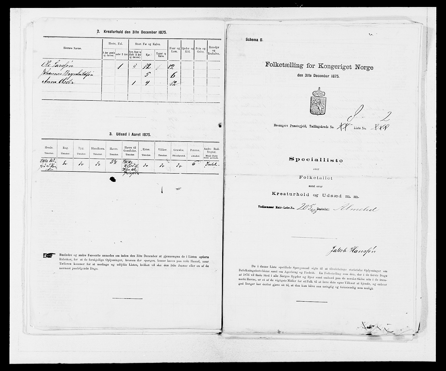 SAB, 1875 census for 1253P Hosanger, 1875, p. 617