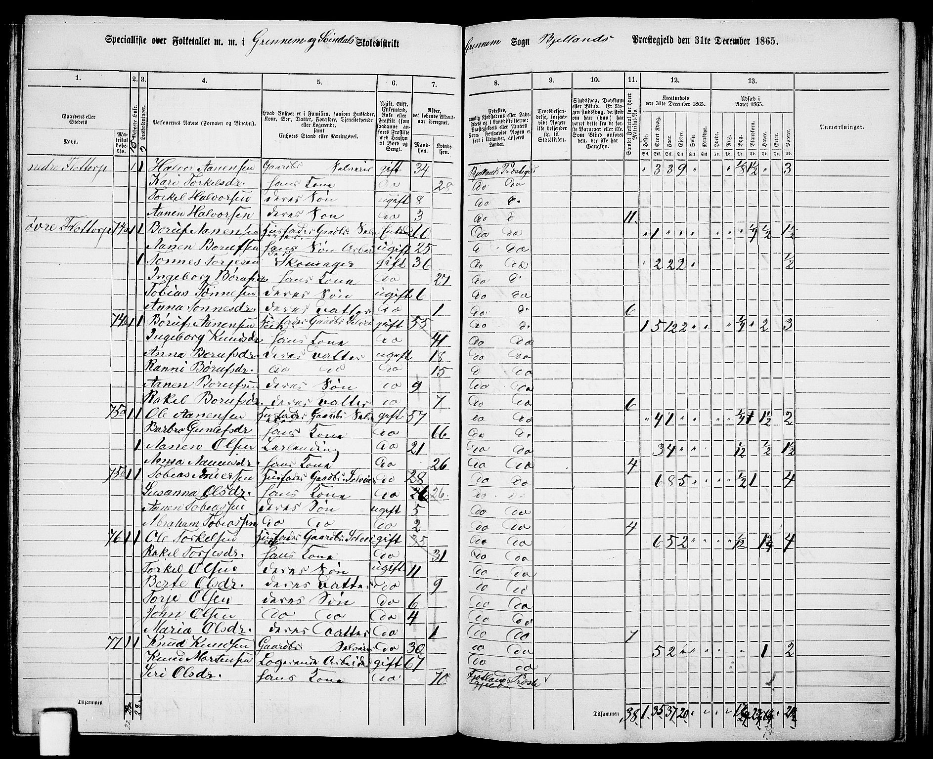 RA, 1865 census for Bjelland, 1865, p. 64