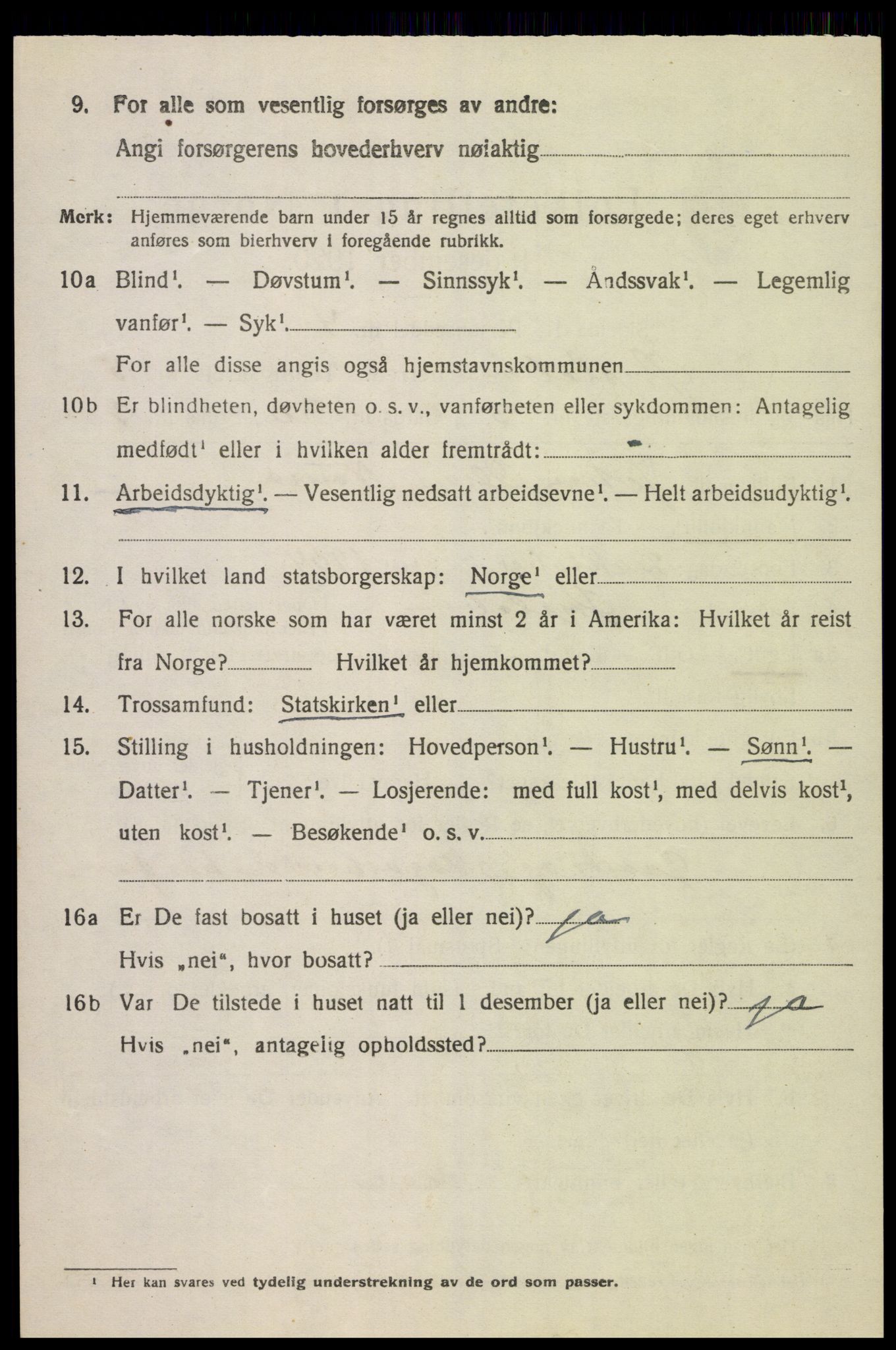SAK, 1920 census for Øyslebø, 1920, p. 1311