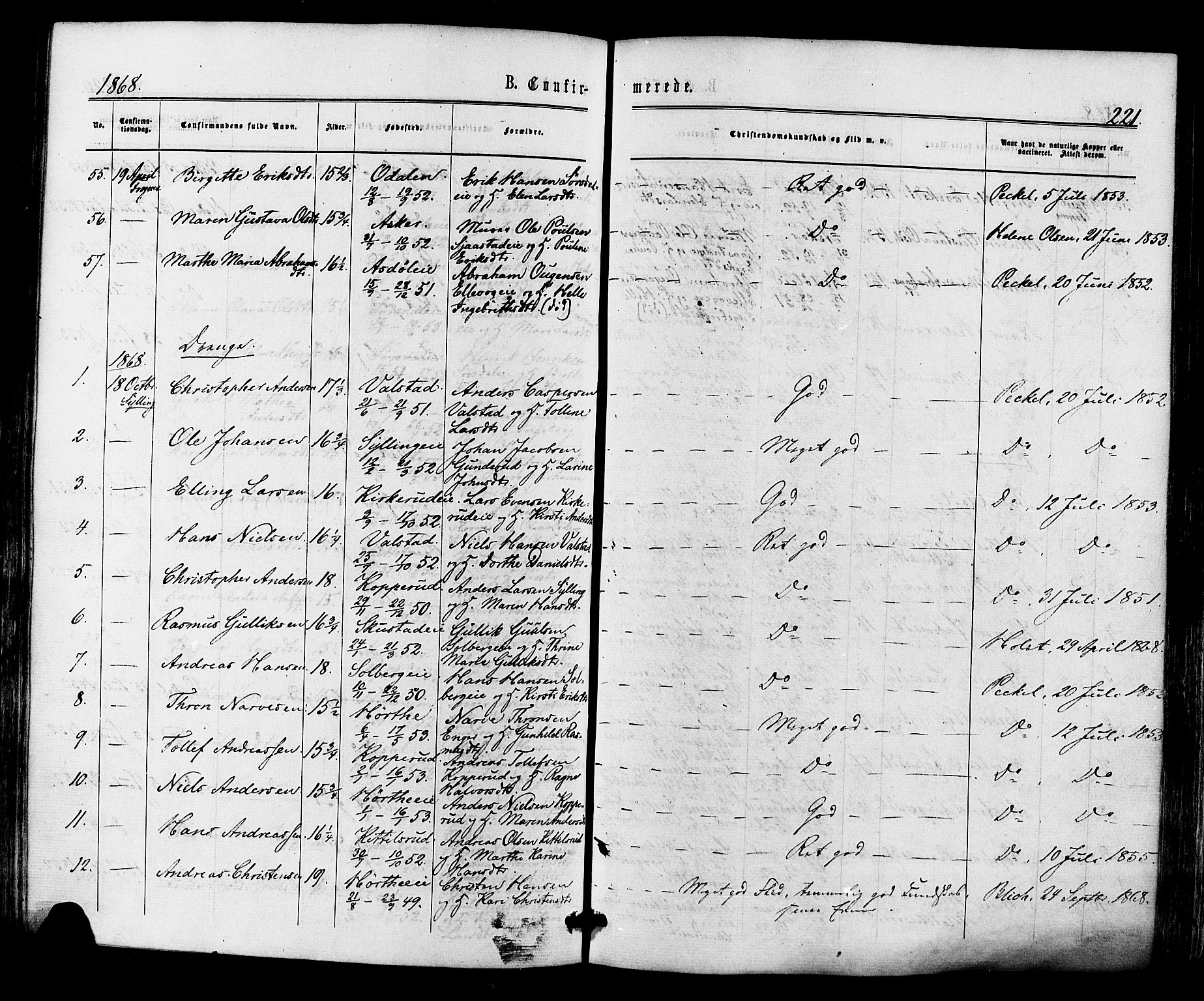 Lier kirkebøker, AV/SAKO-A-230/F/Fa/L0013: Parish register (official) no. I 13, 1865-1874, p. 221